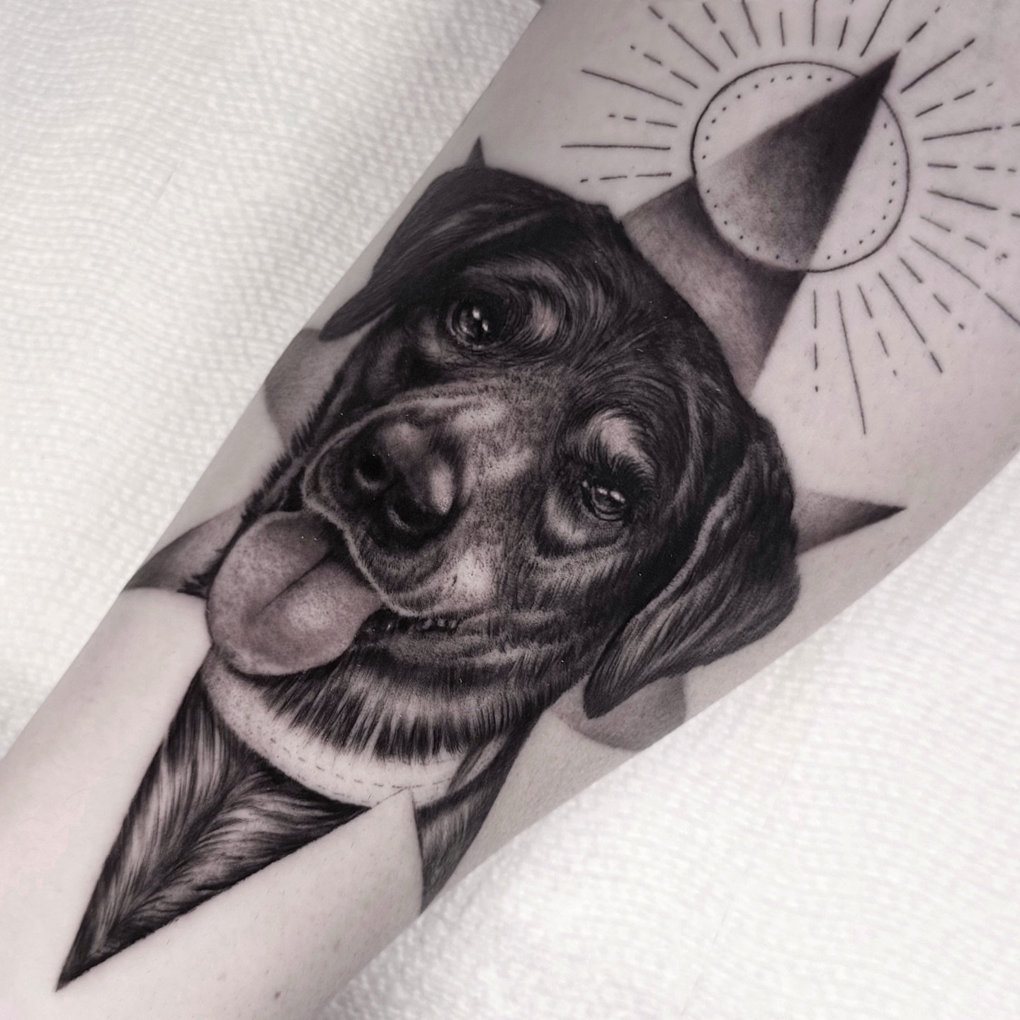 Dog realism tattoo on the forearm by Tommy Sisneros