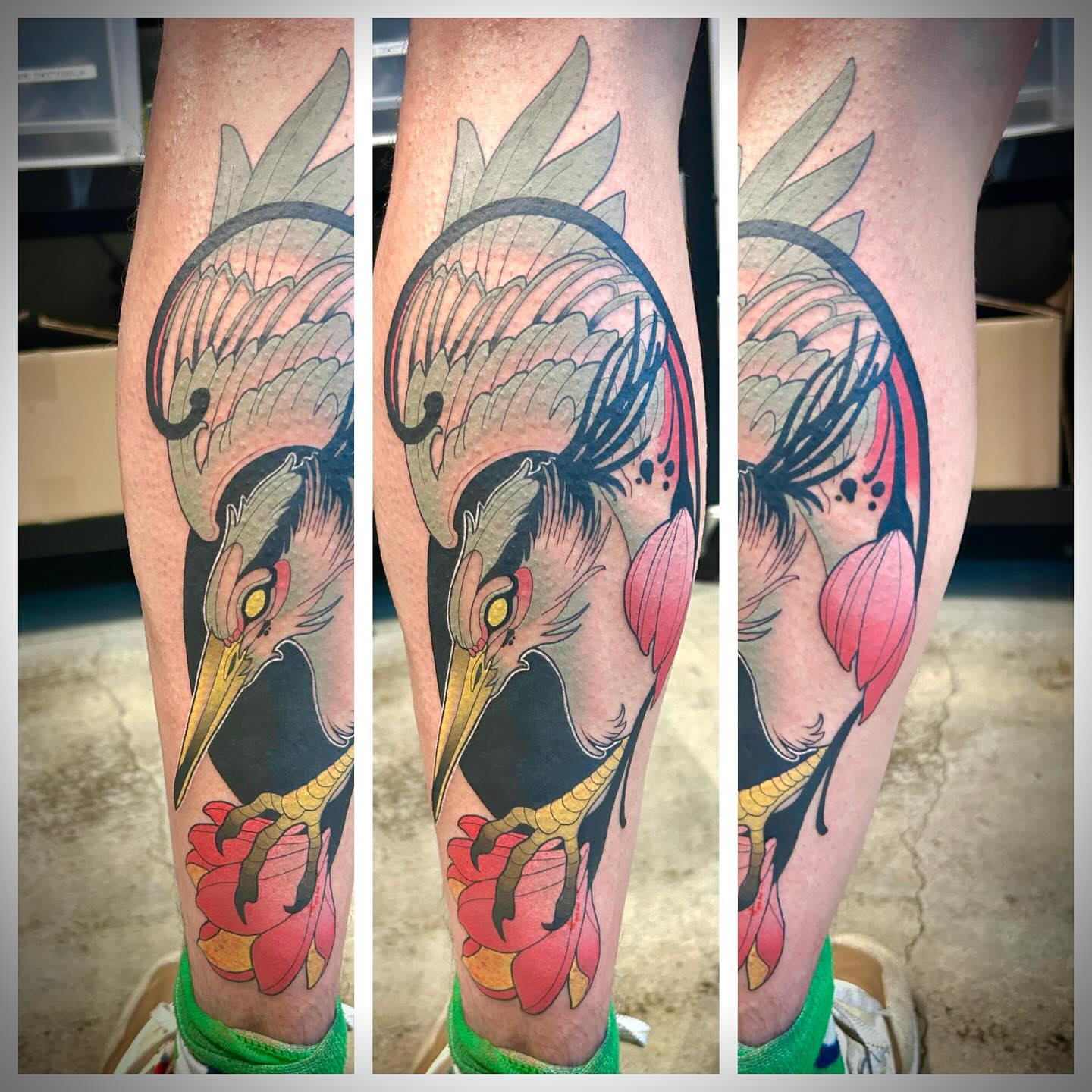 Heron and lotus American traditional tattoo on the forearm by Steve Hooker