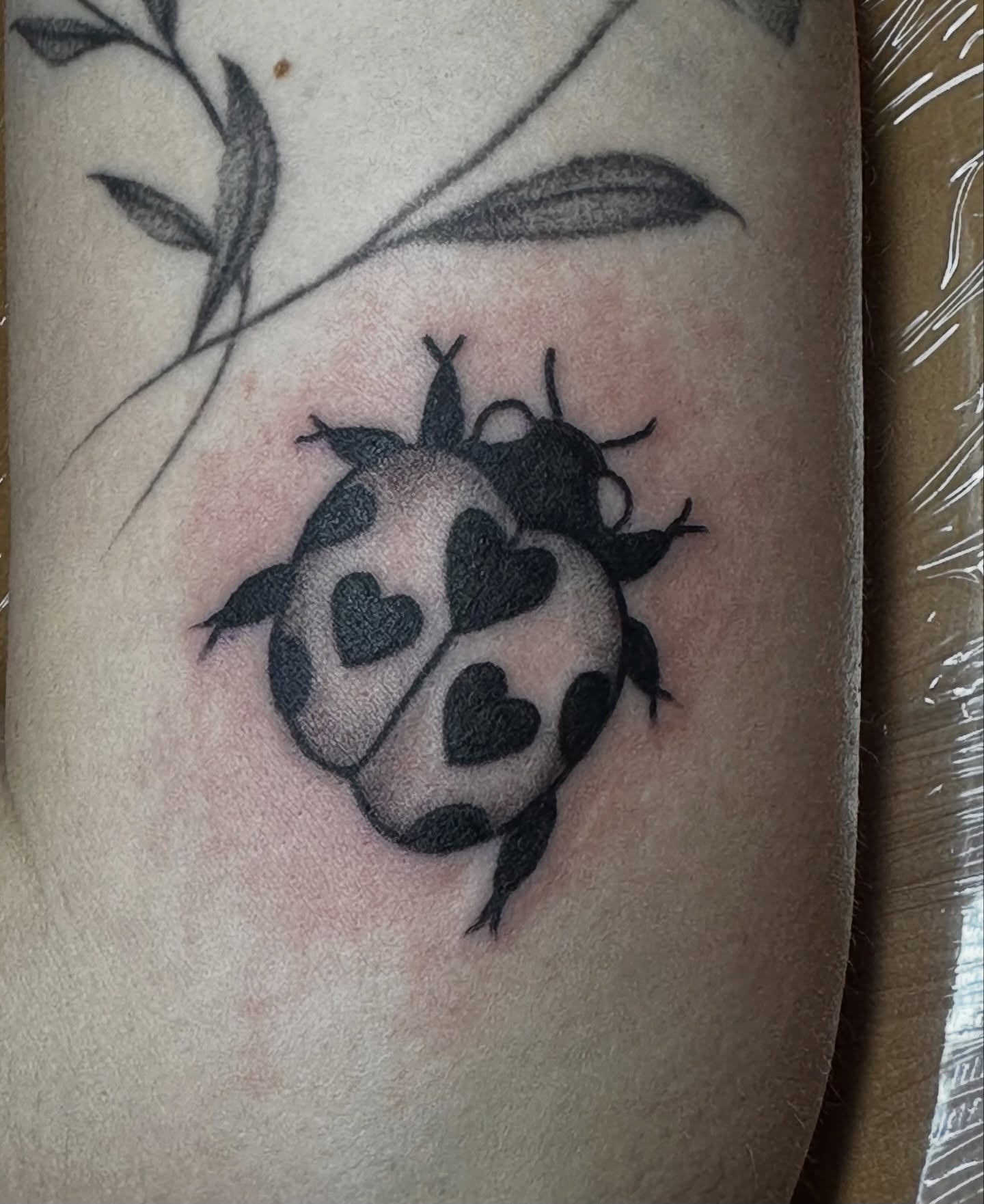 Tattoo by @lauren_delizza — black_and_grey