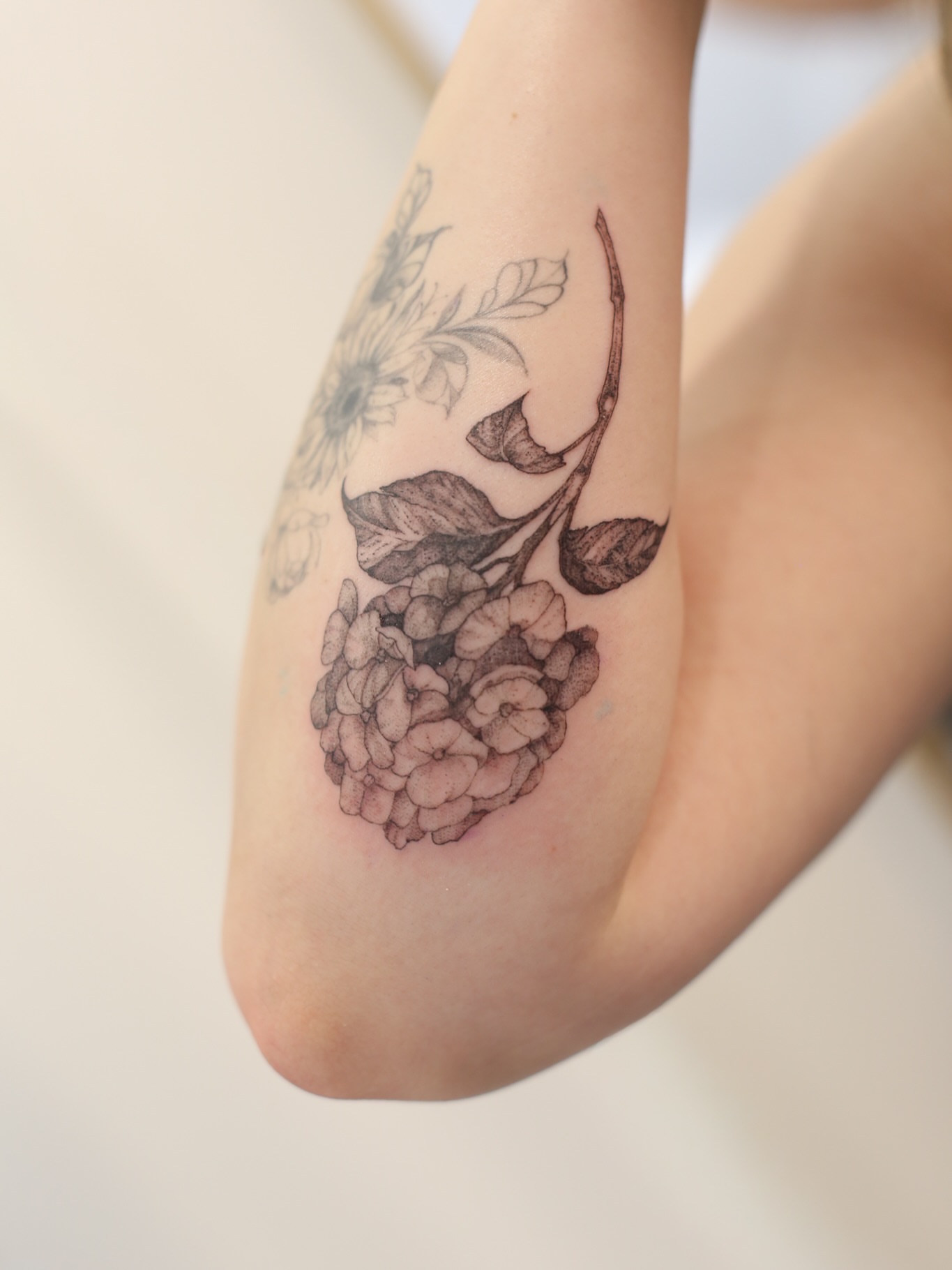 Hydrangea black and grey tattoo on the forearm by Inna Petrova, Kitchener, Ontario