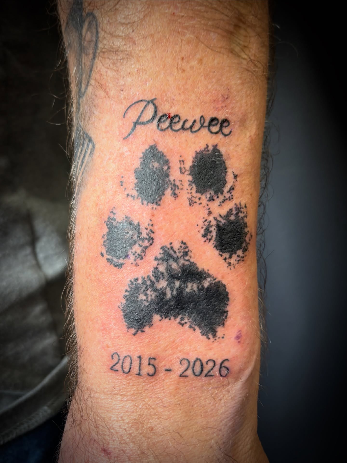 Paw print dotwork tattoo on the forearm by Noah Blum