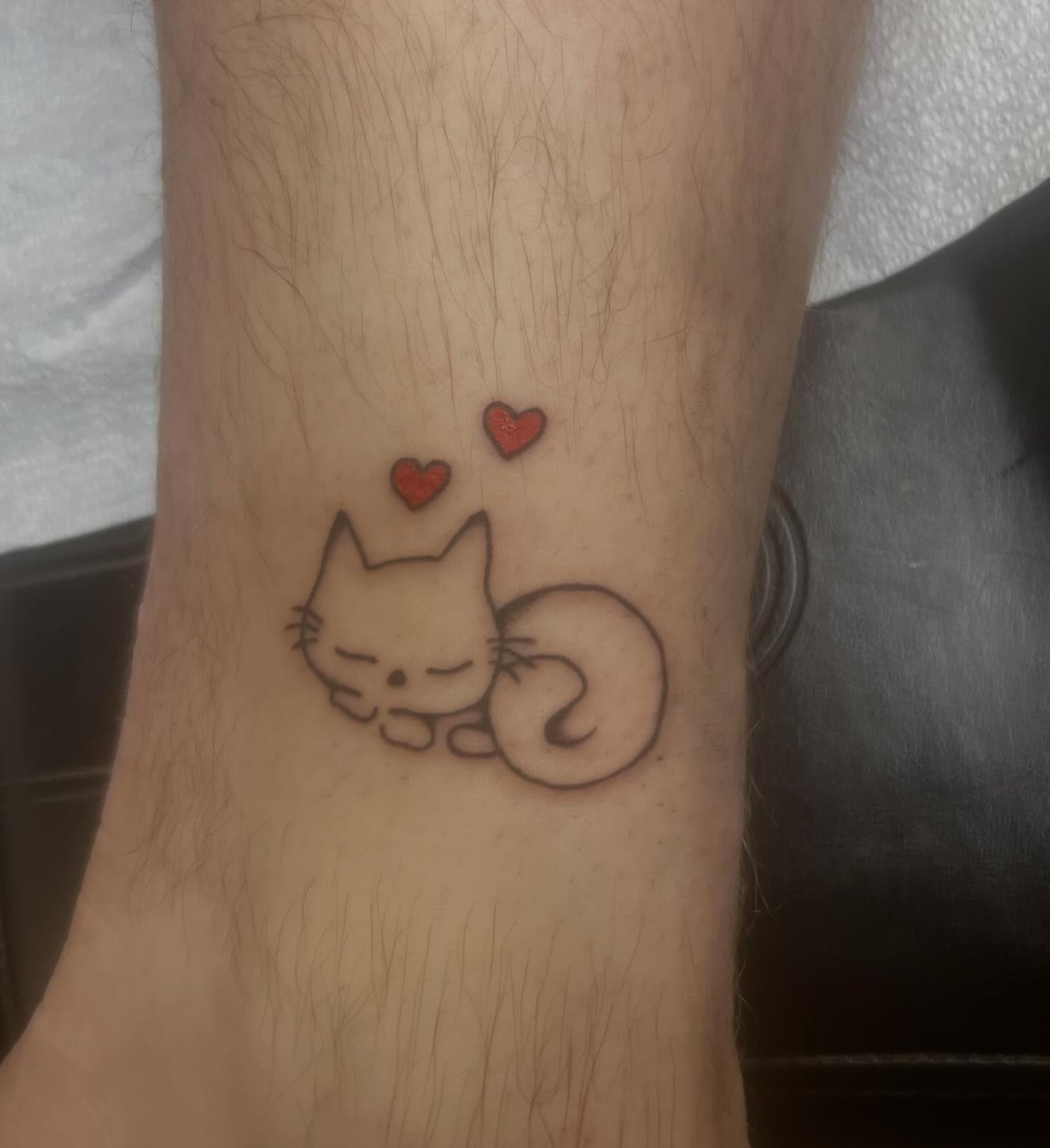 Sleeping cat minimalist tattoo on the forearm by Erika Donn, Portland, Oregon
