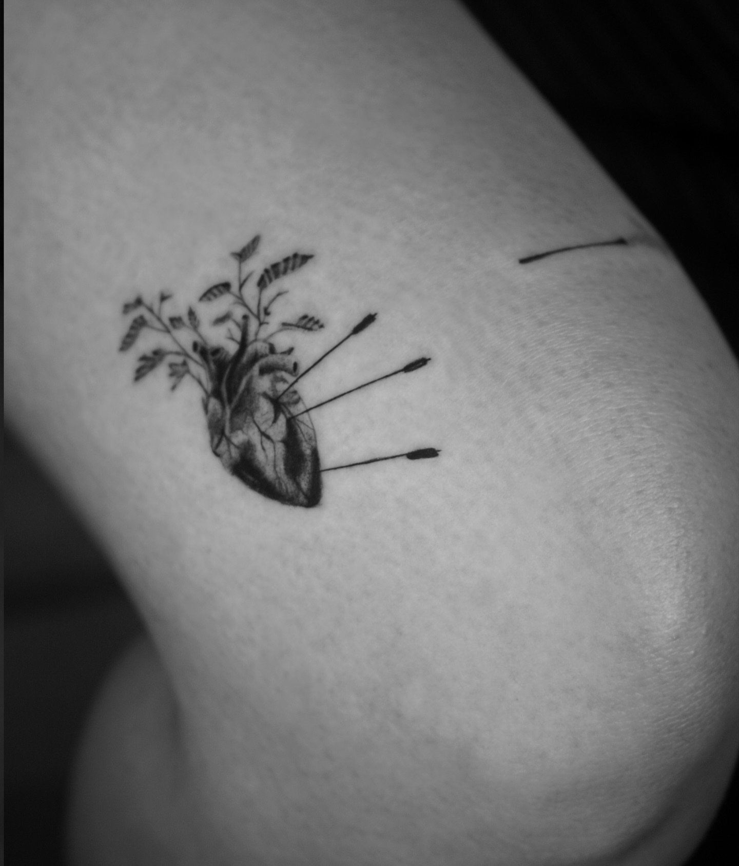 Heart with arrows and plant realism tattoo on the shoulder by Metin Karaatli