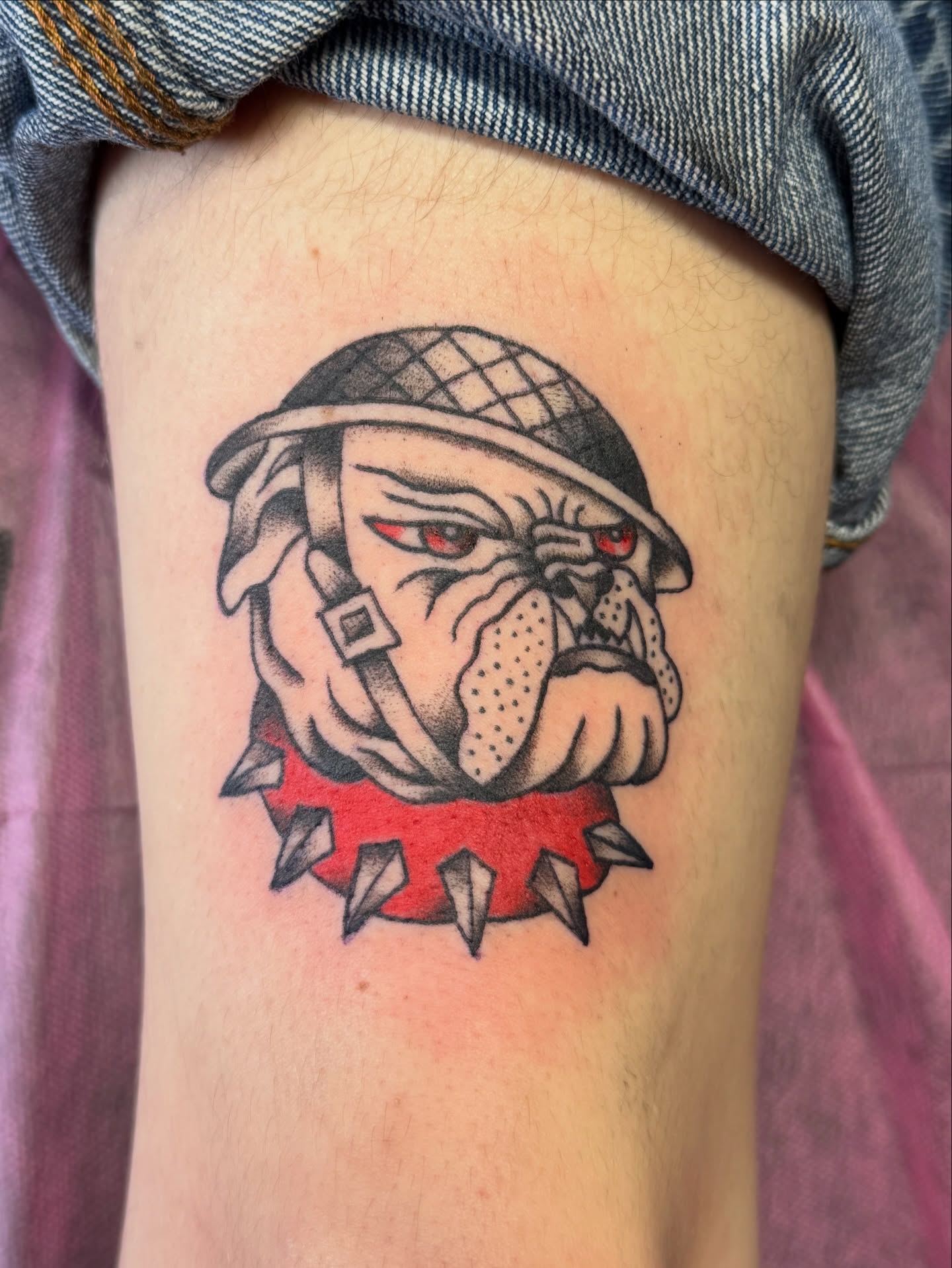 Bulldog wearing helmet American traditional tattoo on the forearm by Bronzino Ink - Karen, Asheville, North Carolina