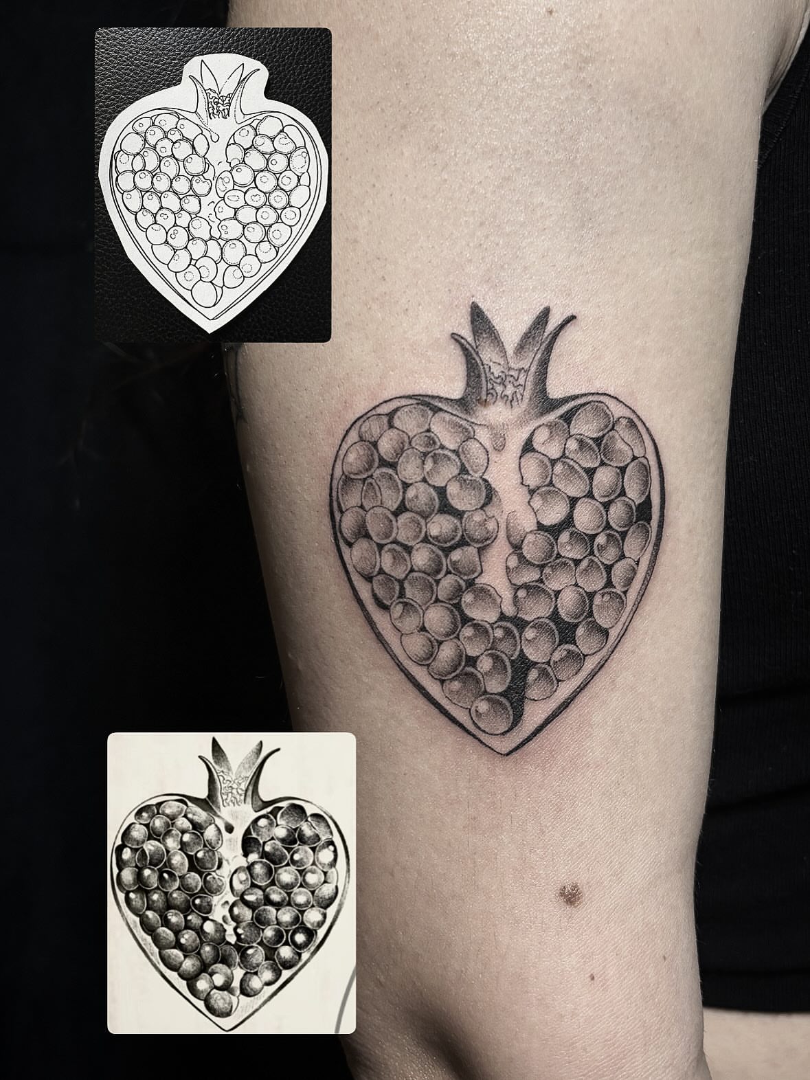 Pomegranate dotwork tattoo on the forearm by Lena Lawrence