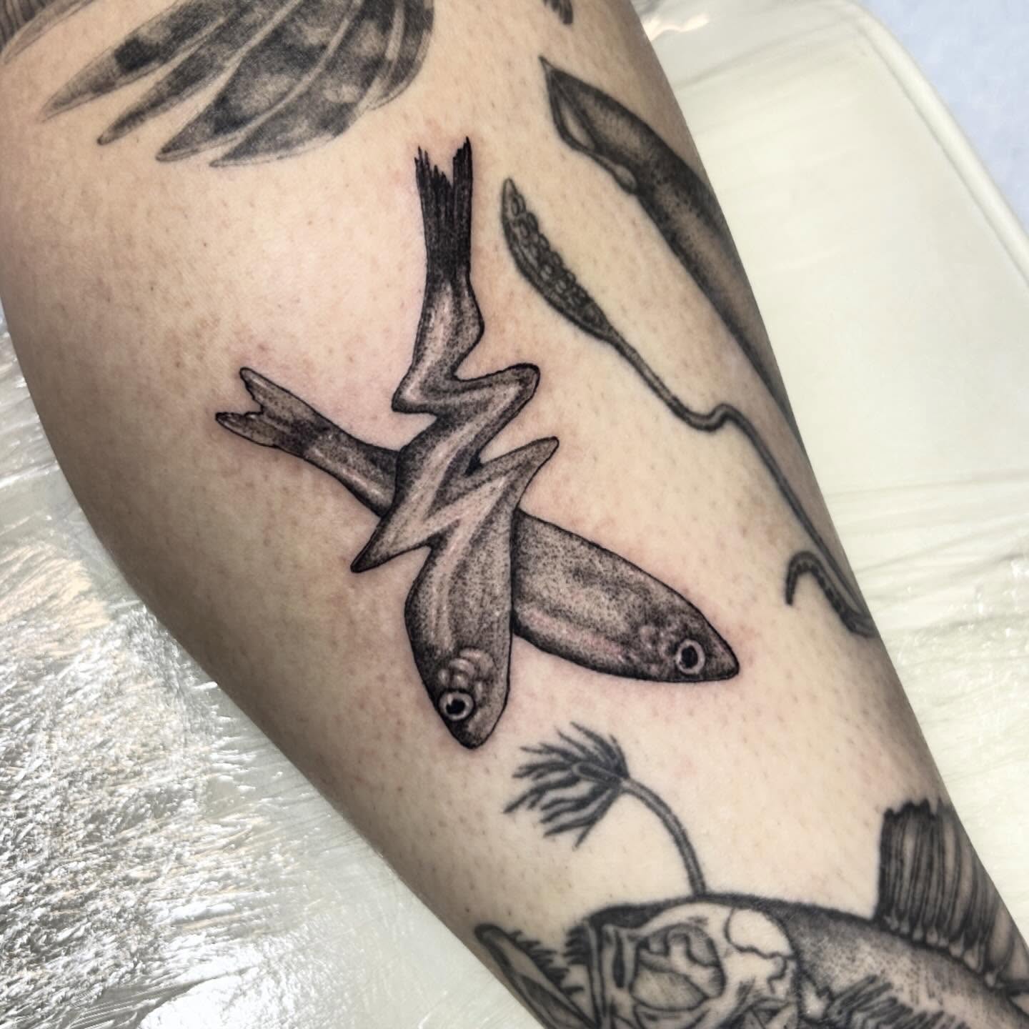 Fish black and grey tattoo on the forearm by Nikki Power