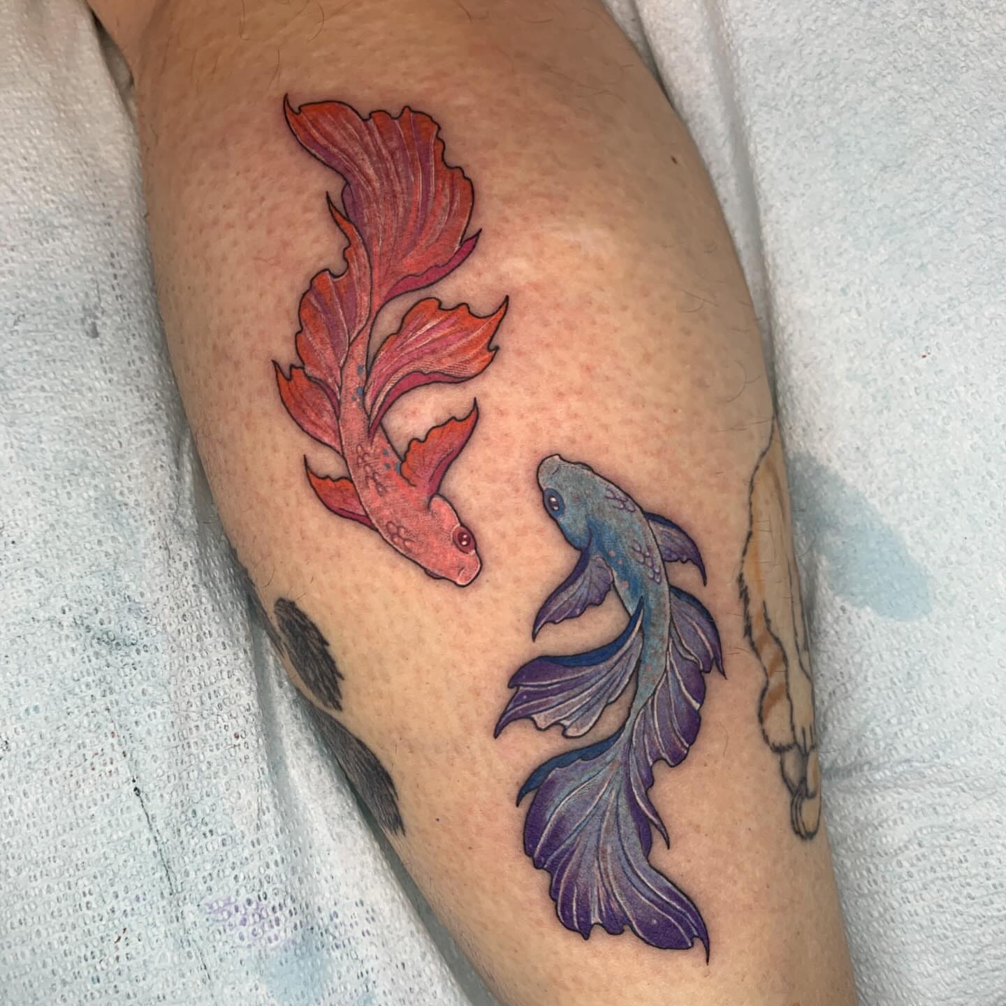 Goldfish dotwork tattoo on the upper arm by Kitty Jones, Berkeley, California