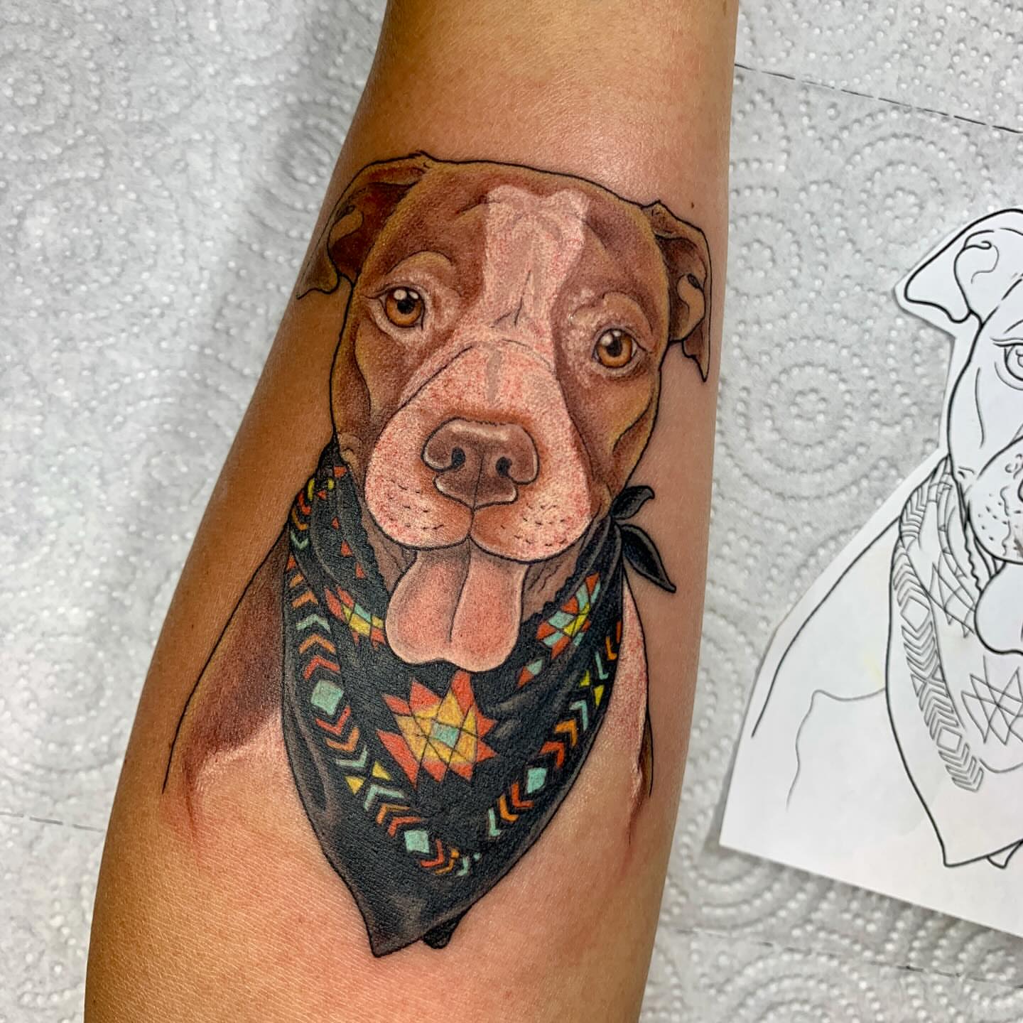 Pit bull with bandana realism tattoo on the forearm by Kitty Jones, Berkeley, California