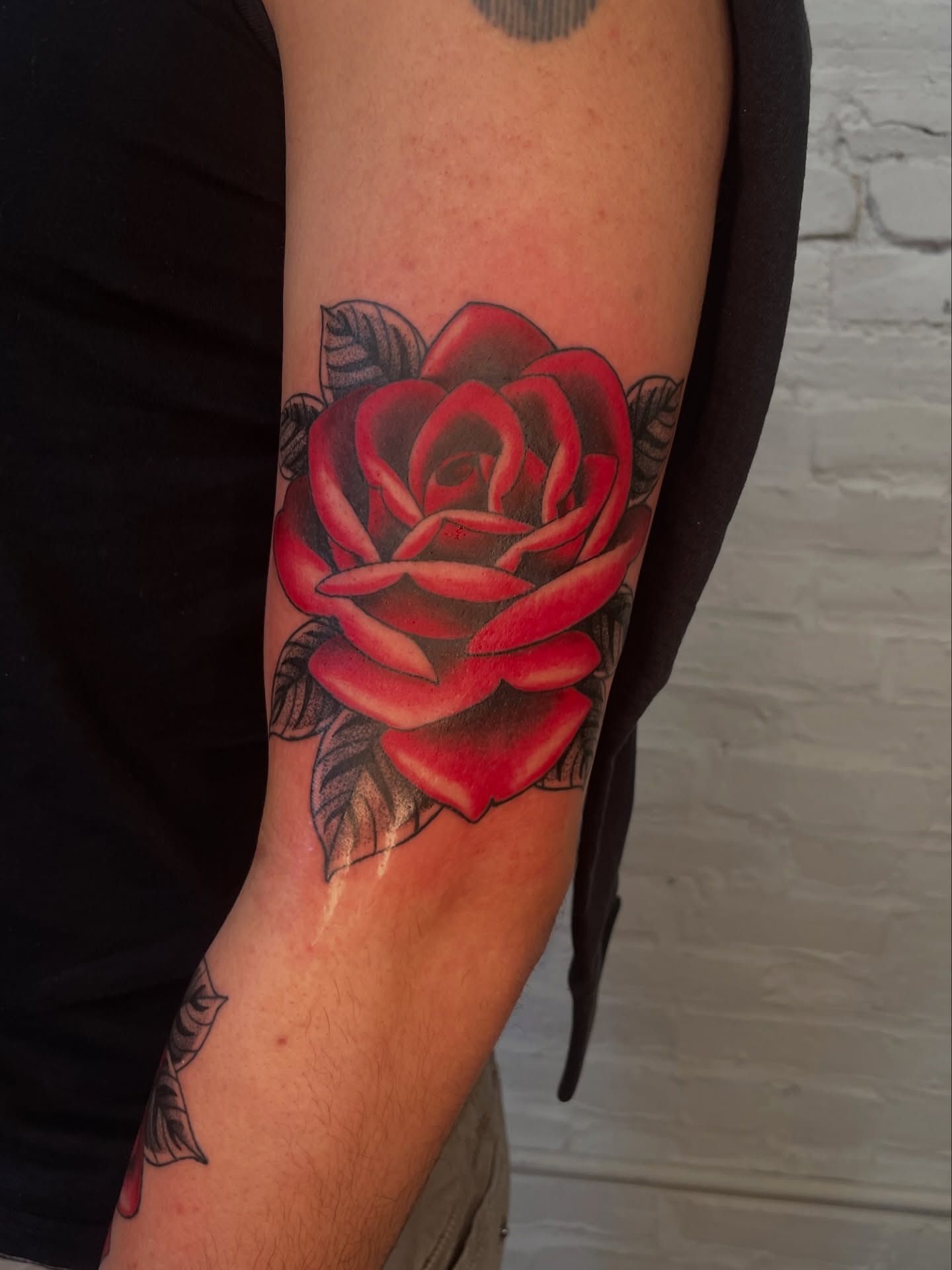 Red rose American traditional tattoo on the forearm by Collie Mills, Philadelphia, Pennsylvania