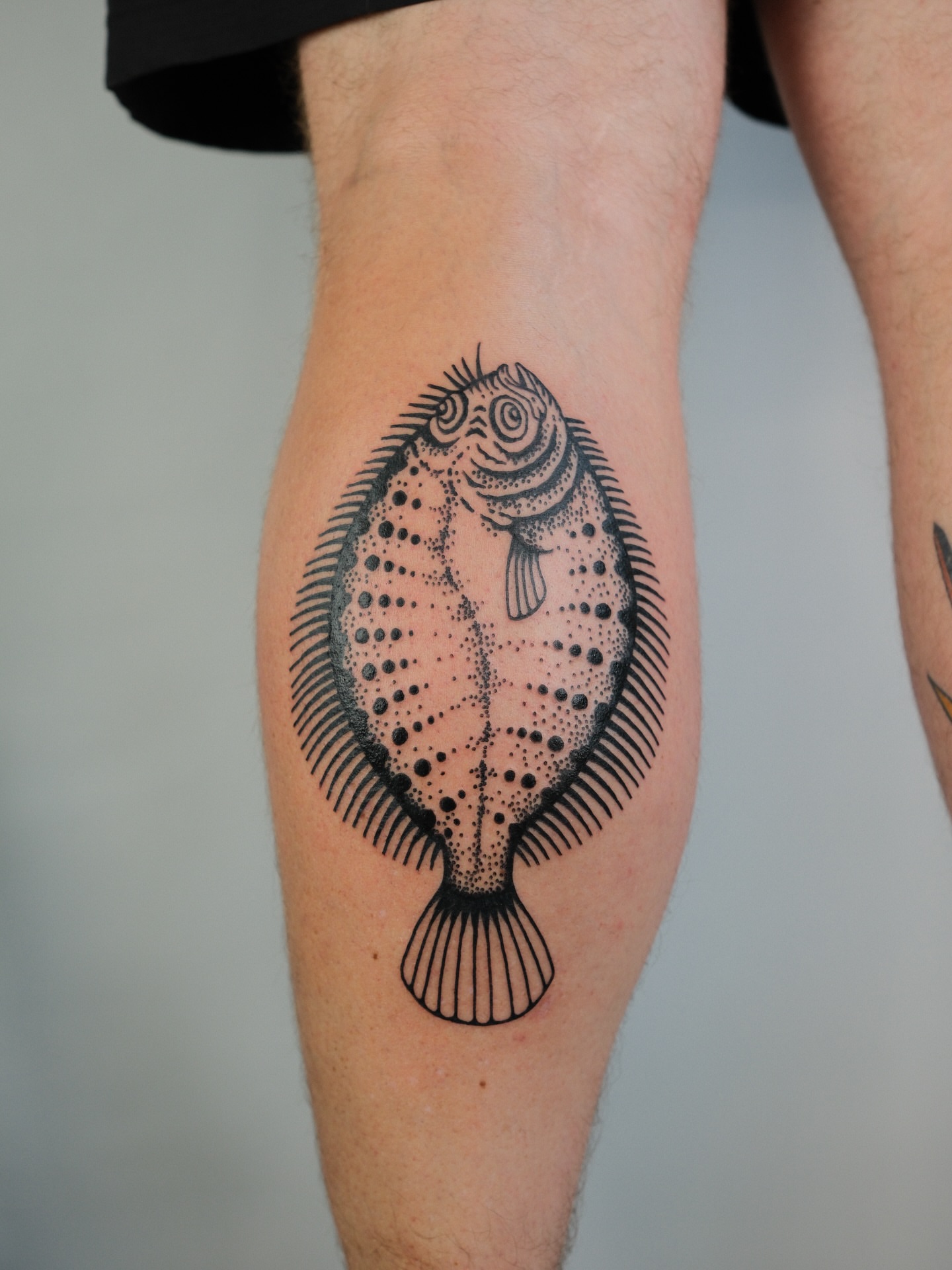 Tattoo by @wonkycube — dotwork