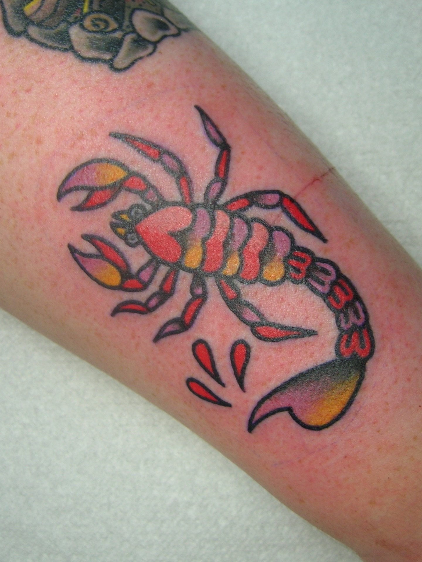 Crab American traditional tattoo on the forearm by edith🌷, Murfreesboro, Tennessee