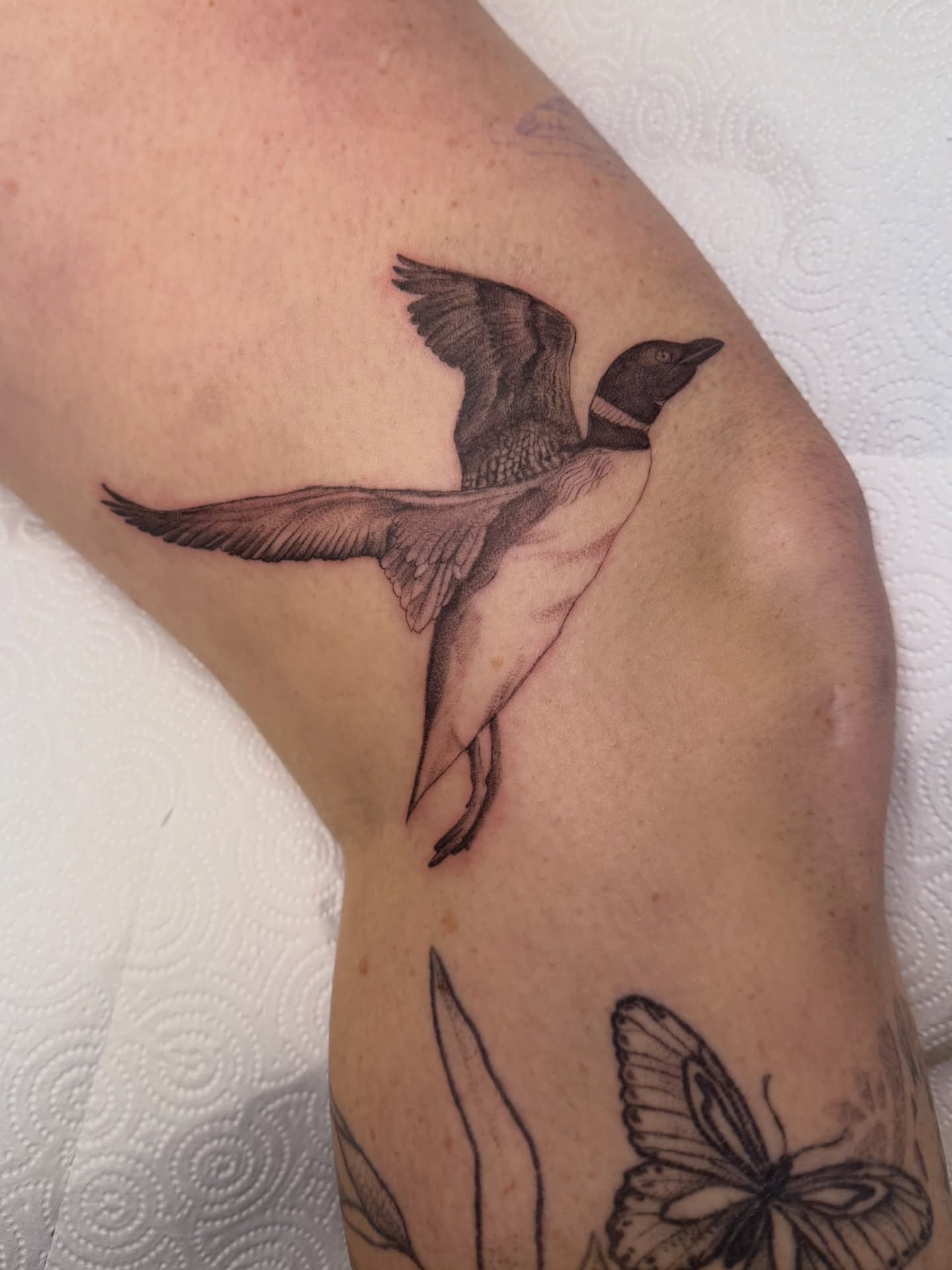 Loon realism tattoo on the upper arm by Dani Fried Tattoos