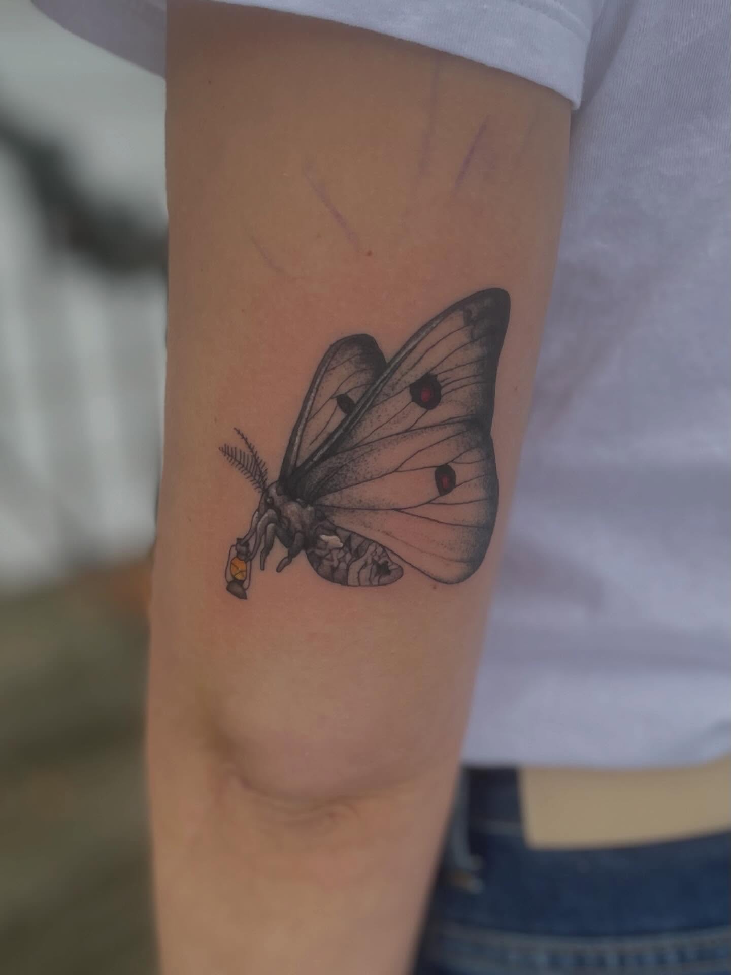 Moth dotwork tattoo on the forearm by Linzi Hungerford, Bozeman, Montana