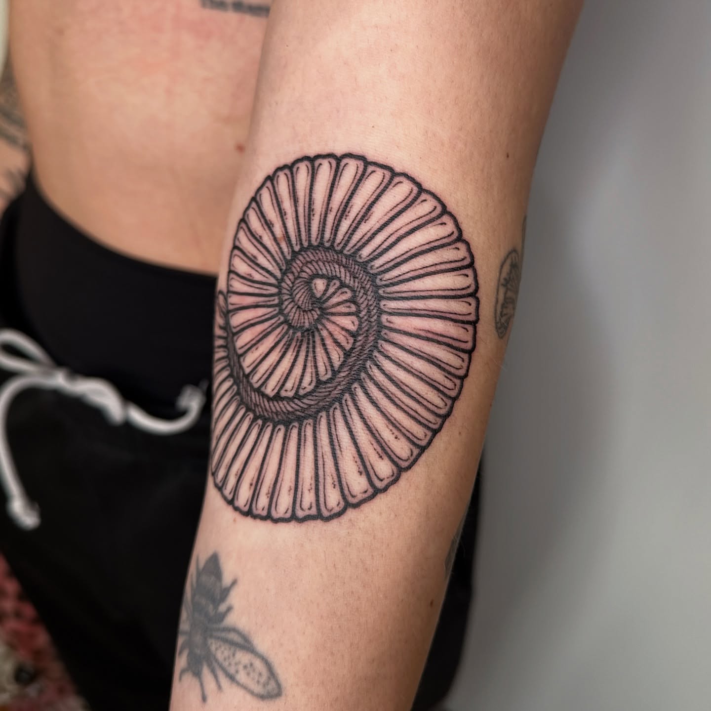 Ammonite fossil black and grey tattoo on the forearm by rosalie