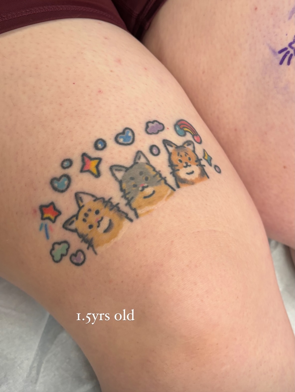 Three cats dotwork tattoo on the thigh by XINAMON 🔥 시나몬
