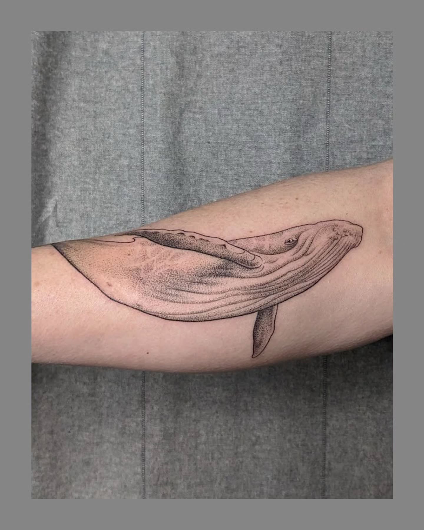 Whale dotwork tattoo on the forearm by Marria