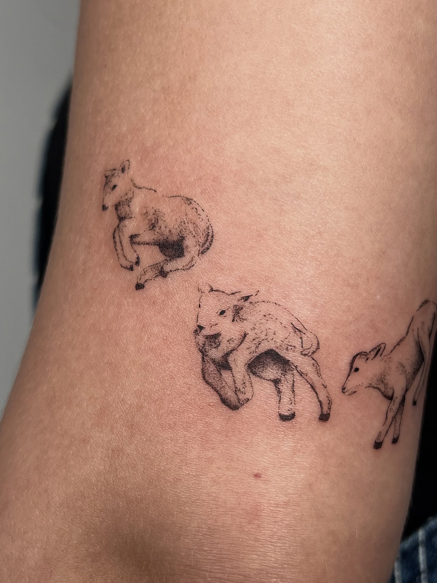 Goats dotwork tattoo on the thigh by jewel renee