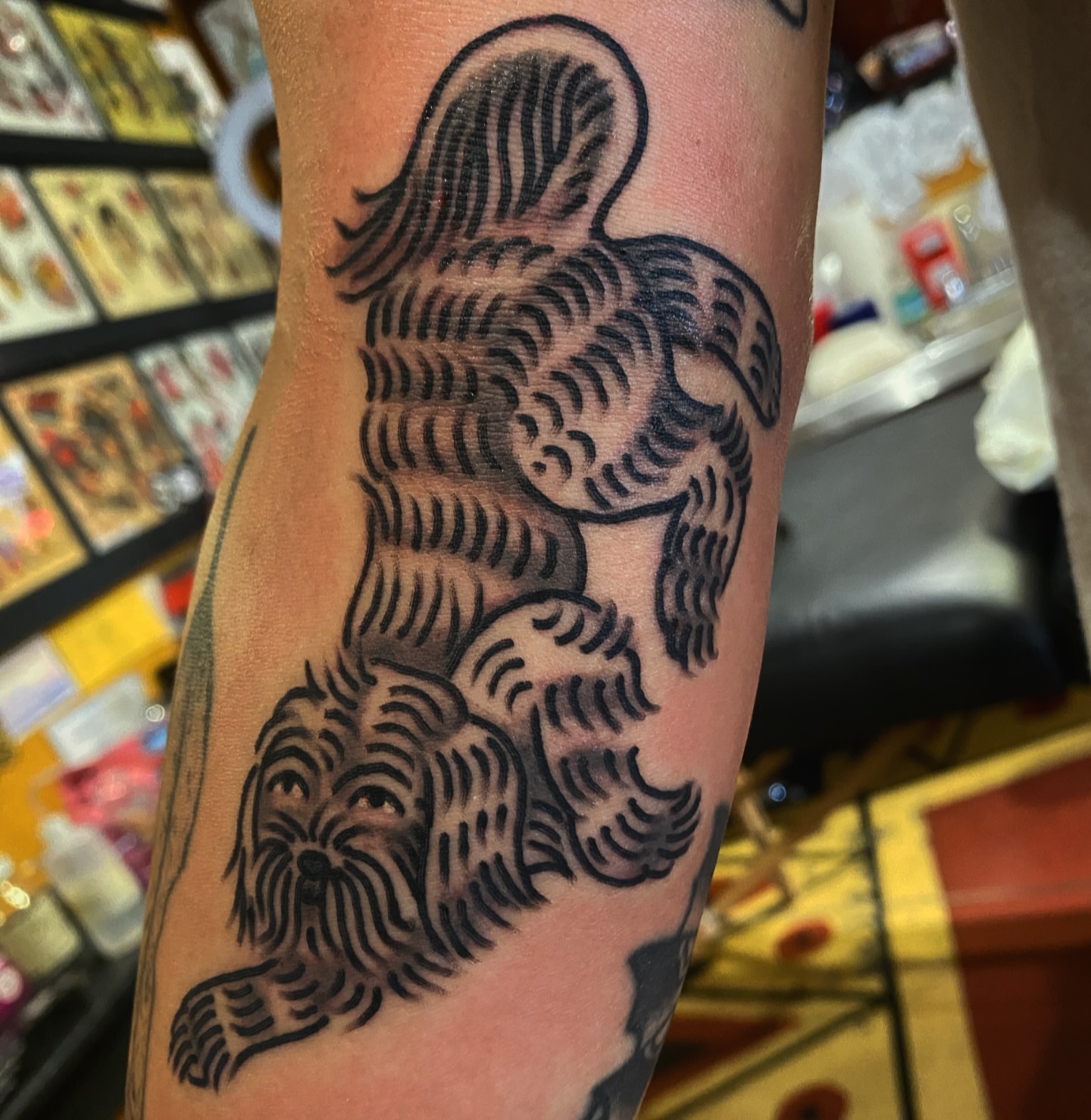 Dog black and grey tattoo on the forearm by Joey Delarosa, San Francisco, California