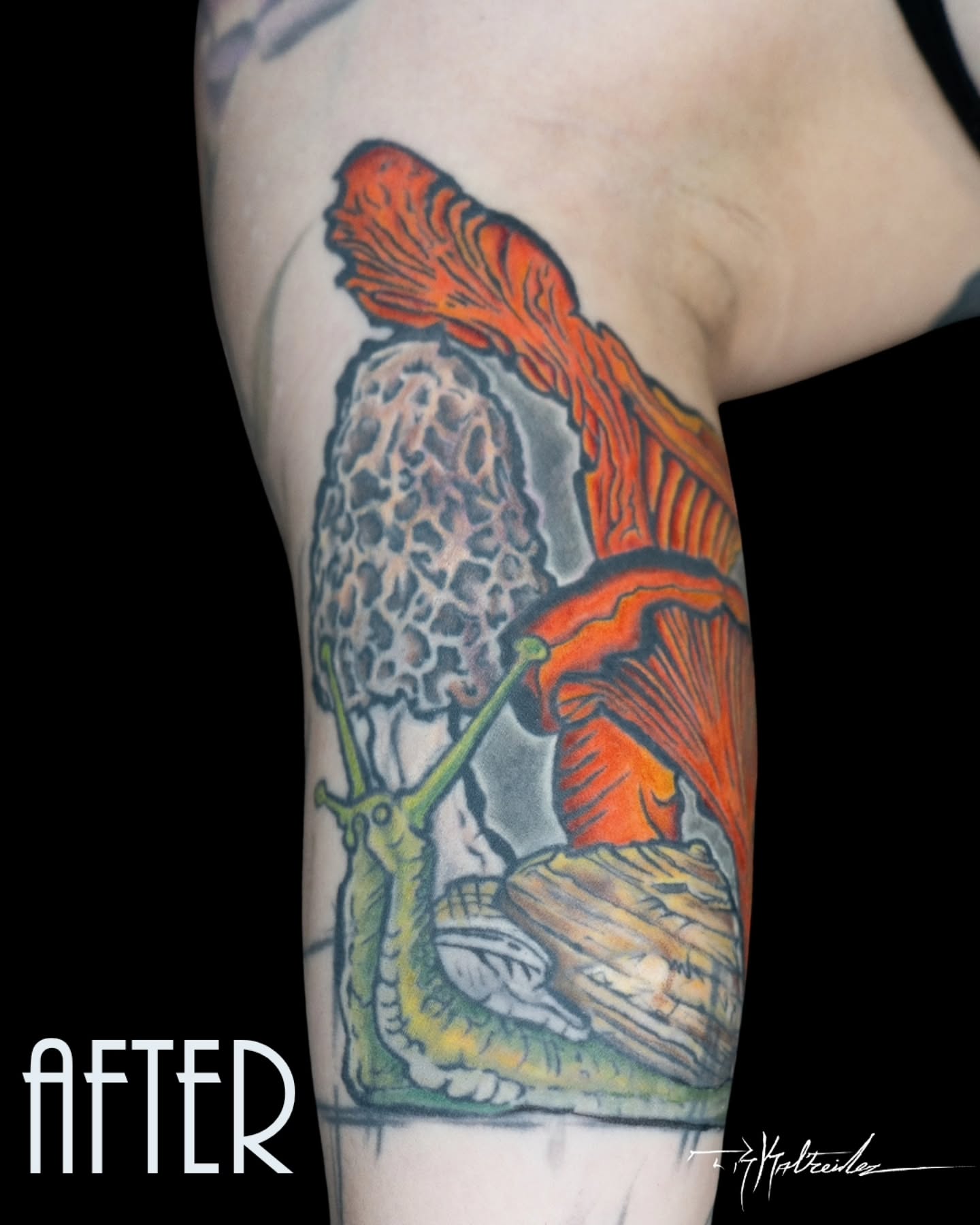 Tattoo by @trkaltreider — realism, dotwork