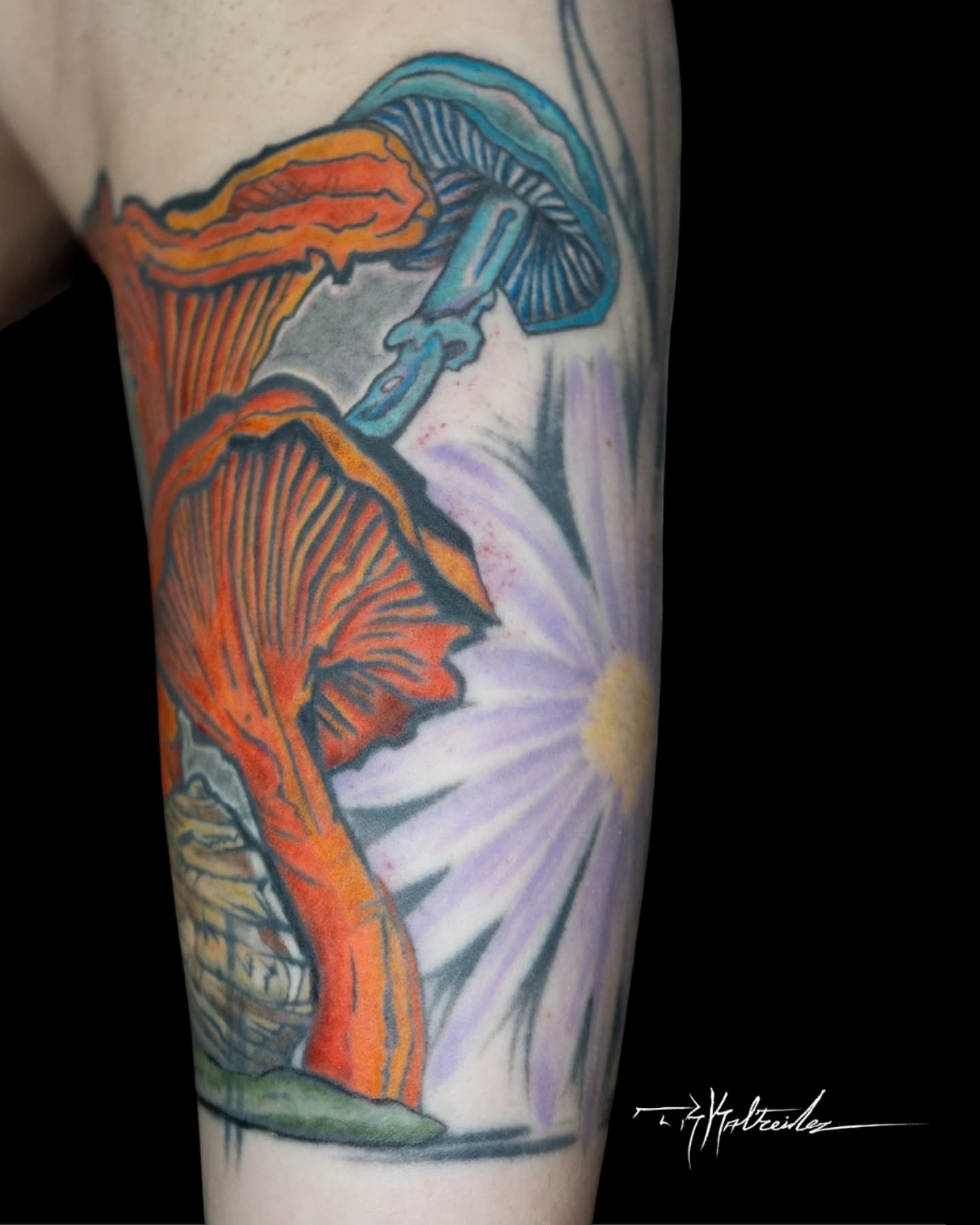 Tattoo by @trkaltreider — watercolor