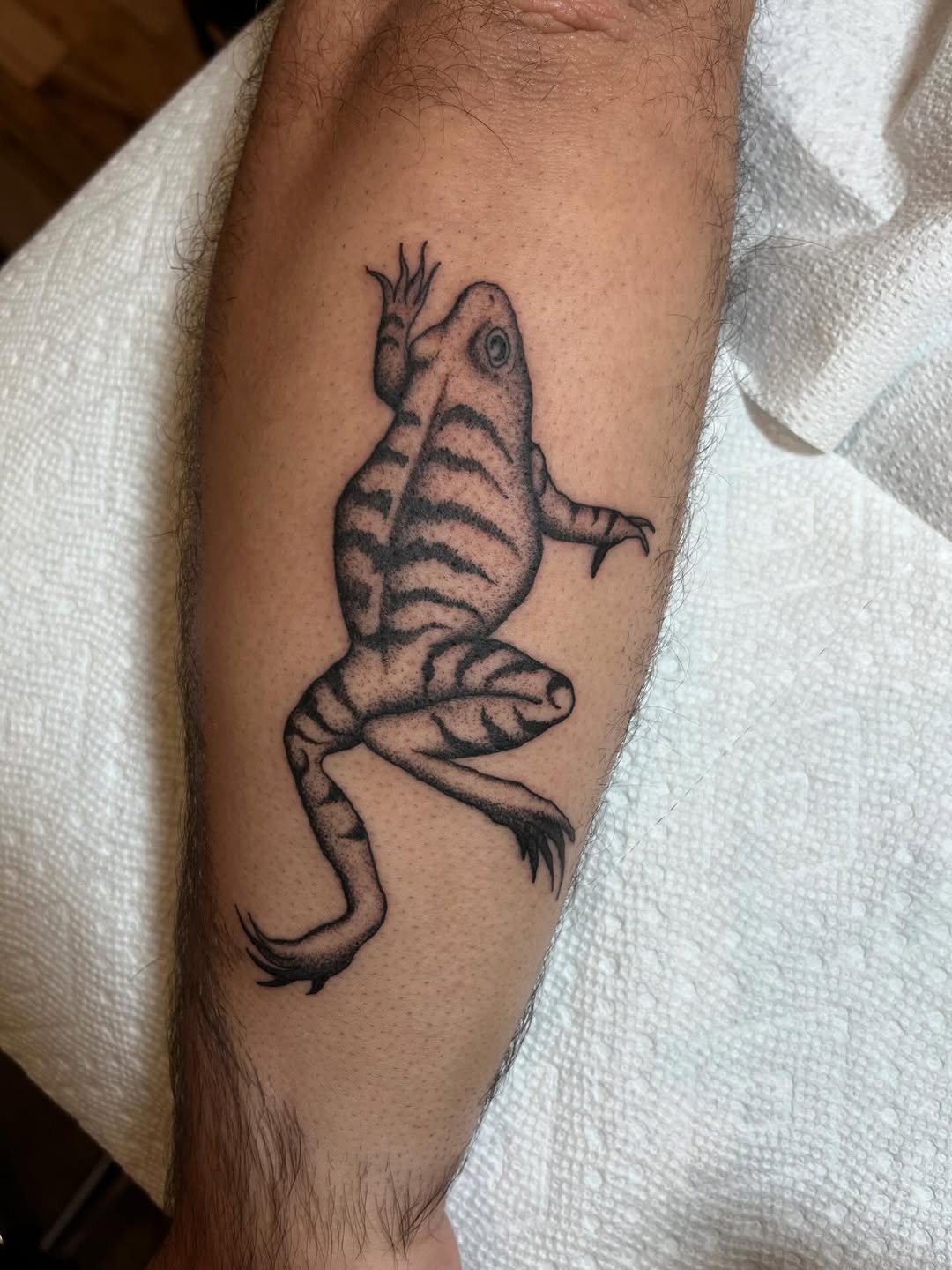 Tattoo by @goatnap — black_and_grey, dotwork
