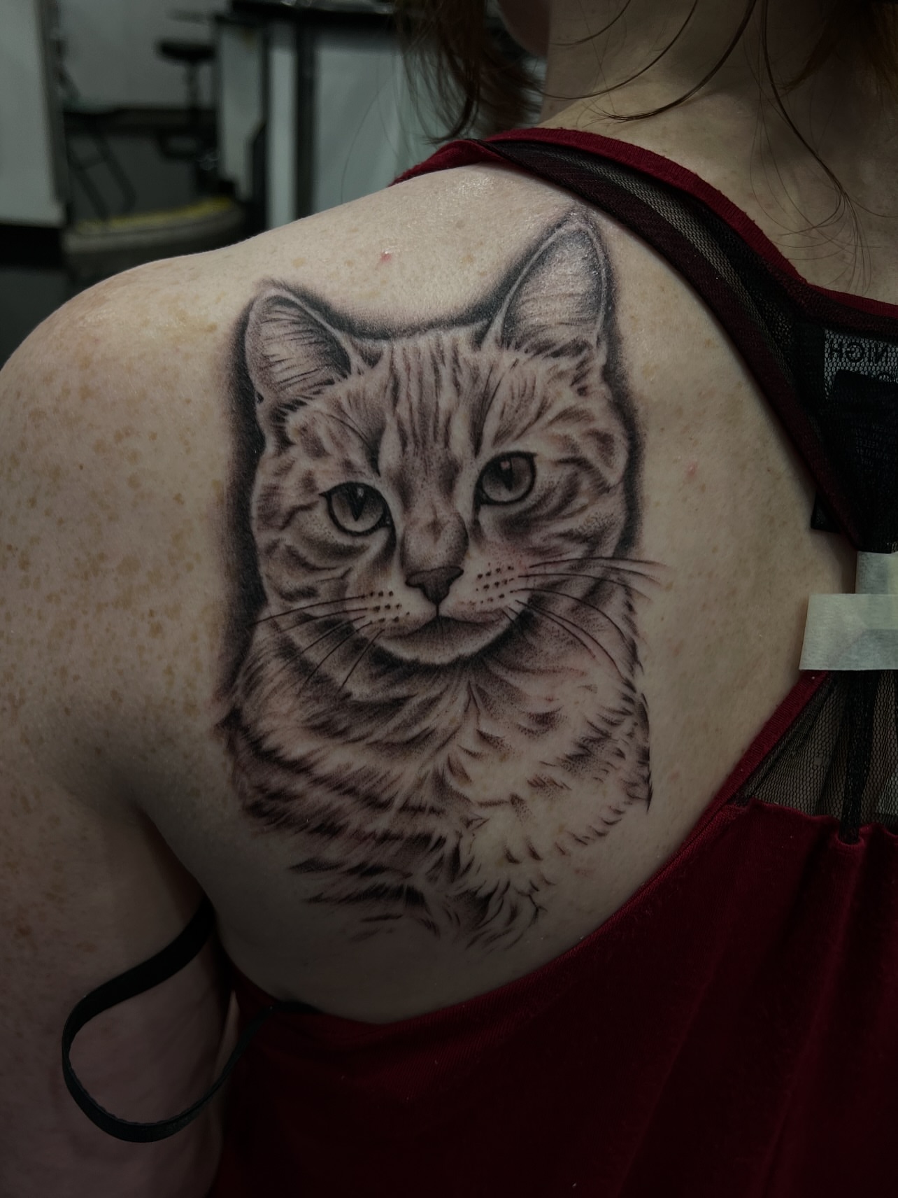 Cat realism tattoo on the shoulder by Jericho Las Vegas tattoo artist, Las Vegas, Nevada