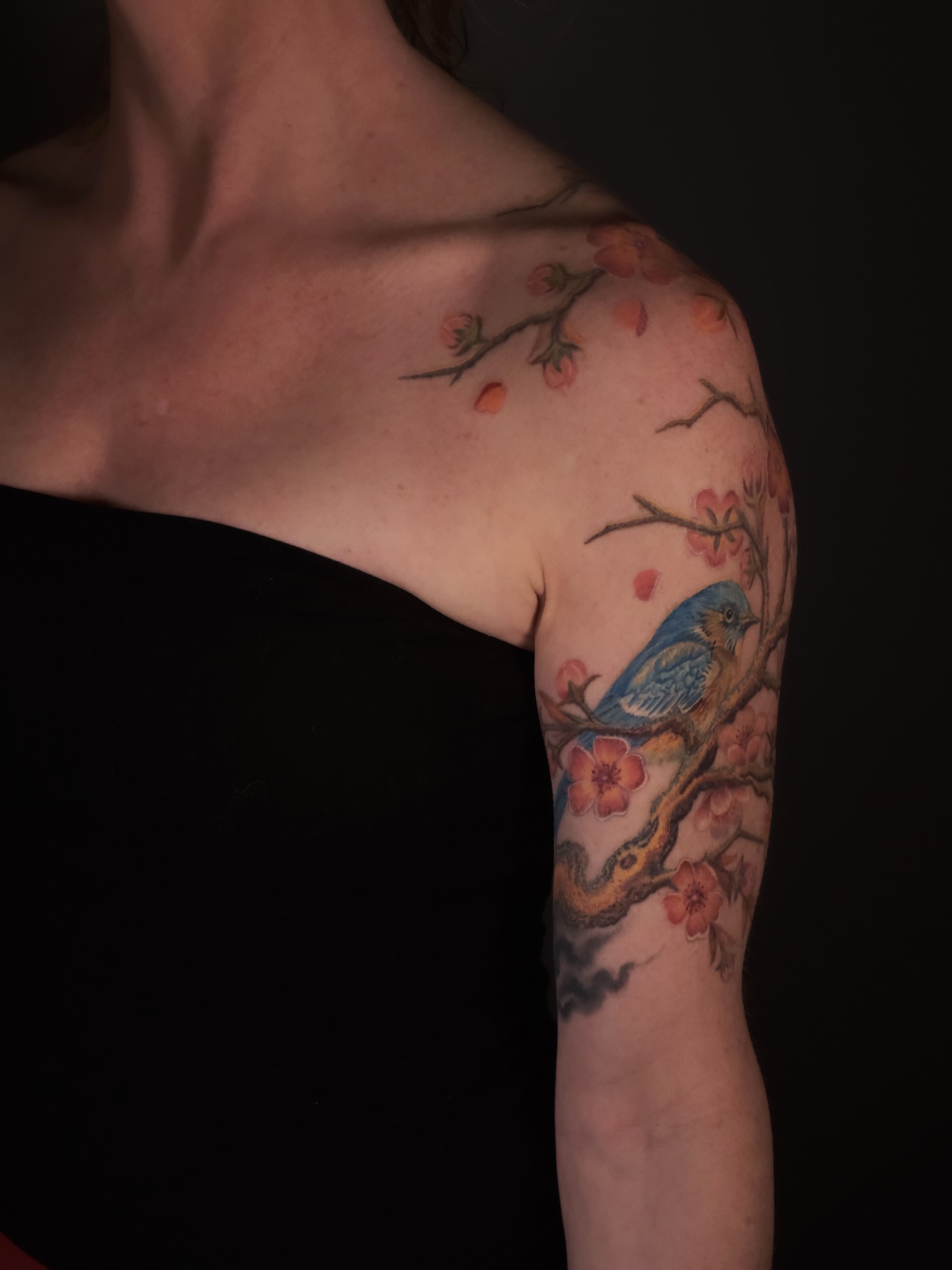 Bird and cherry blossoms realism tattoo on the shoulder by AL 777, Denton, Texas