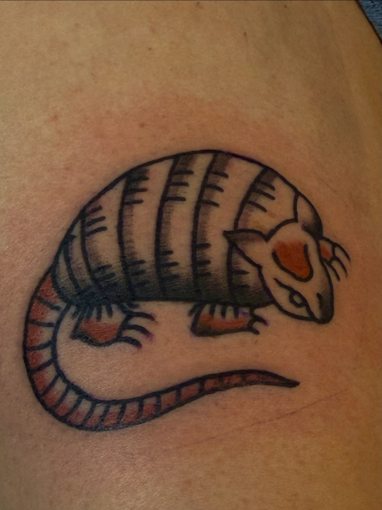 Armadillo American traditional tattoo on the chest by Zac Clark