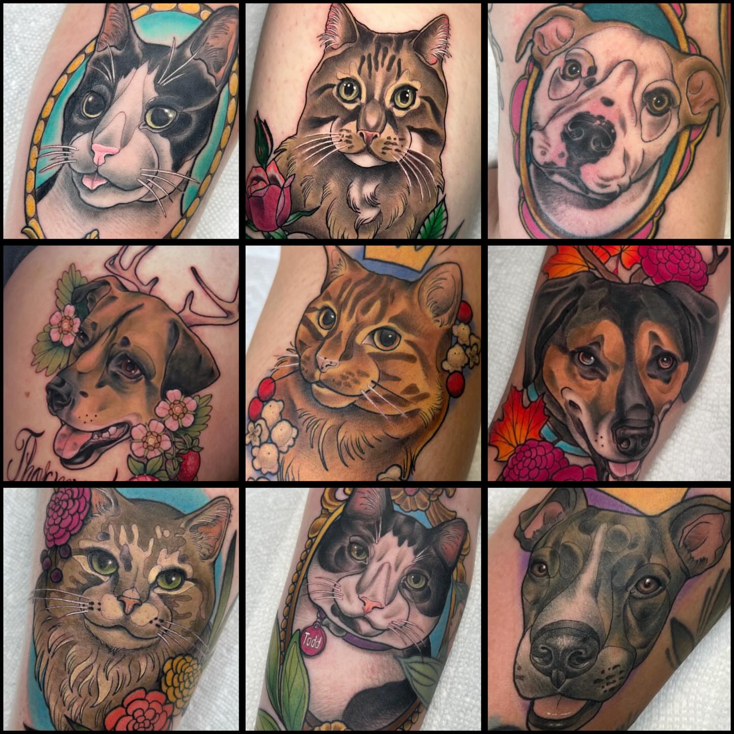 Pet portraits American traditional tattoo on the forearm by Katie Ann Tattoos