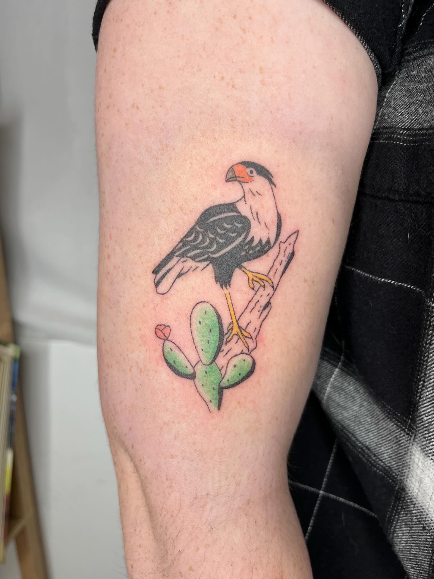 Hawk and cactus American traditional tattoo on the forearm by natalie