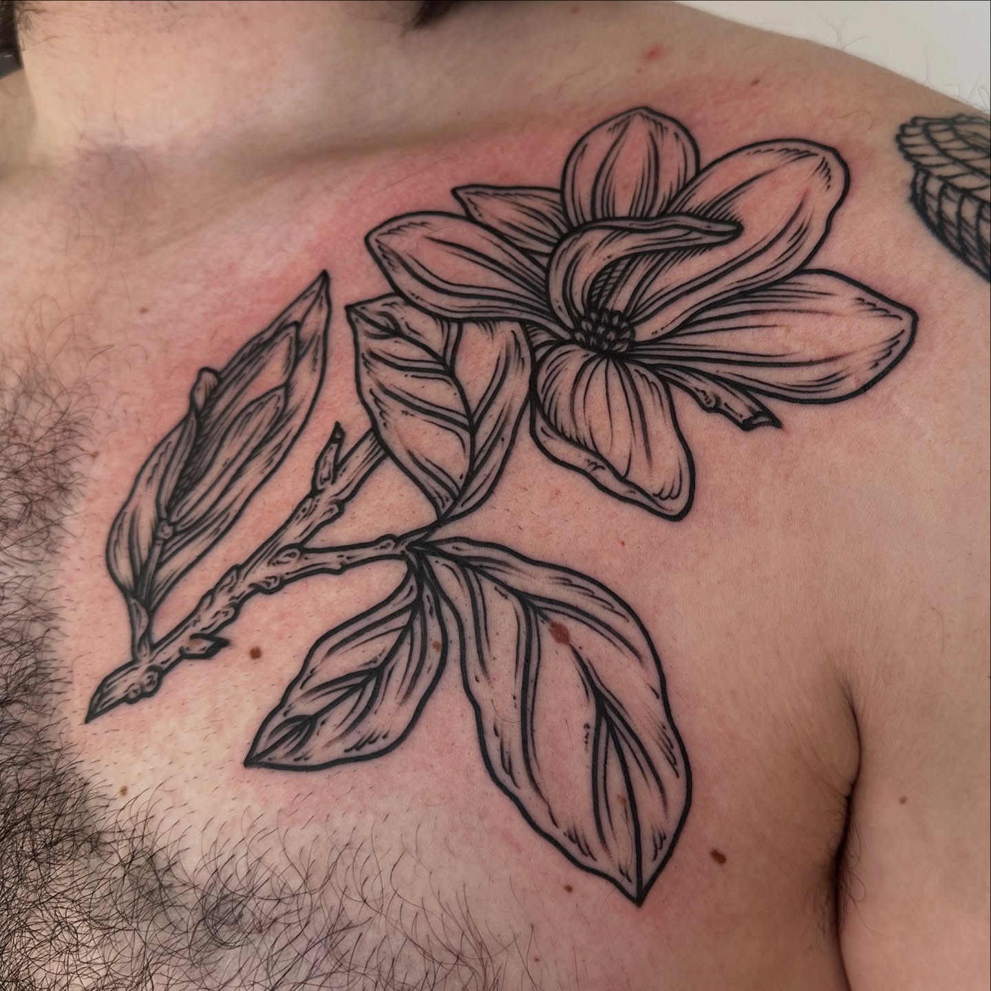 Flower black and grey tattoo on the chest by rosalie