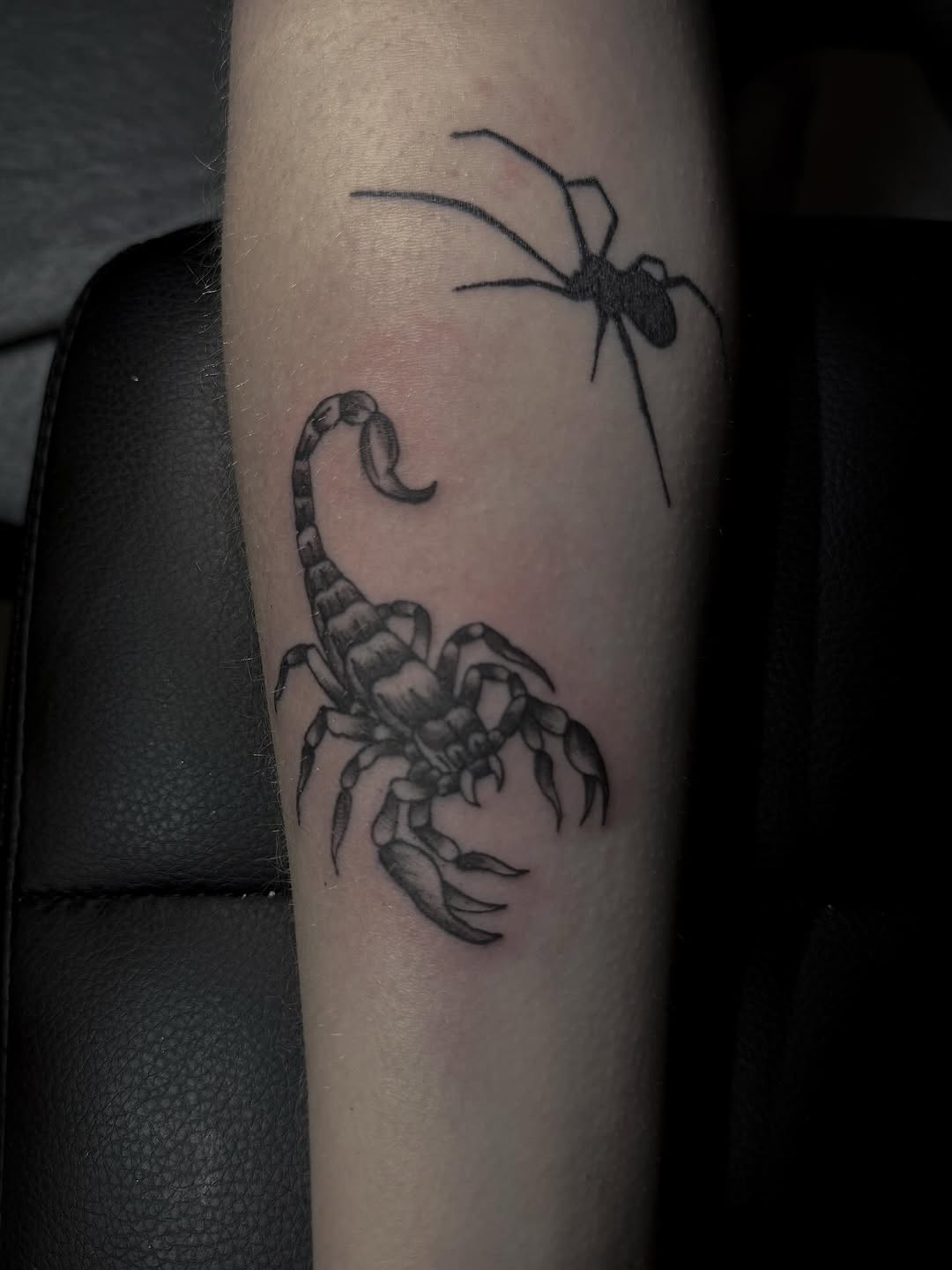 Scorpion and spider fine line tattoo on the forearm by ☆ ciara ☆