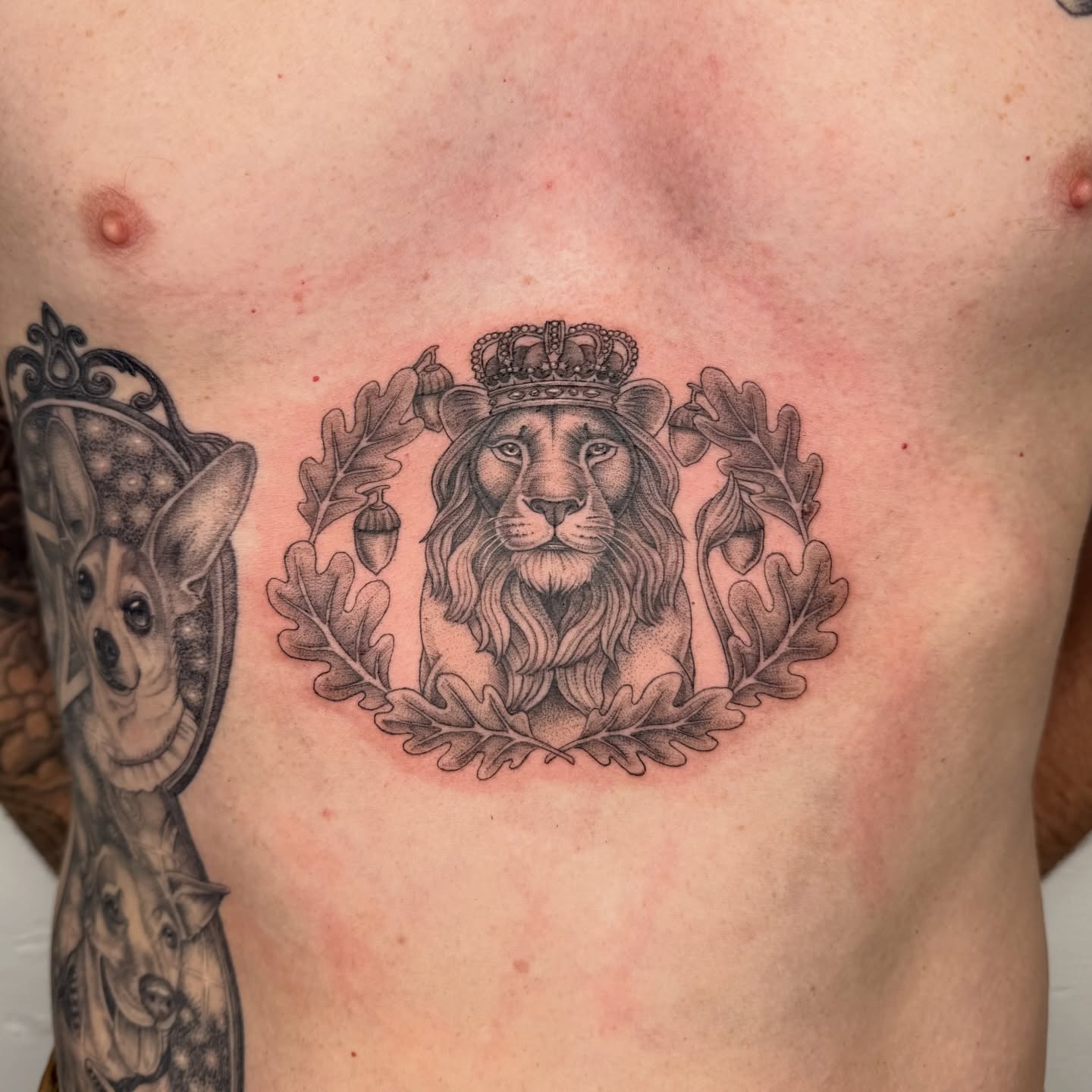 Lion with crown black and grey tattoo on the chest by Rose