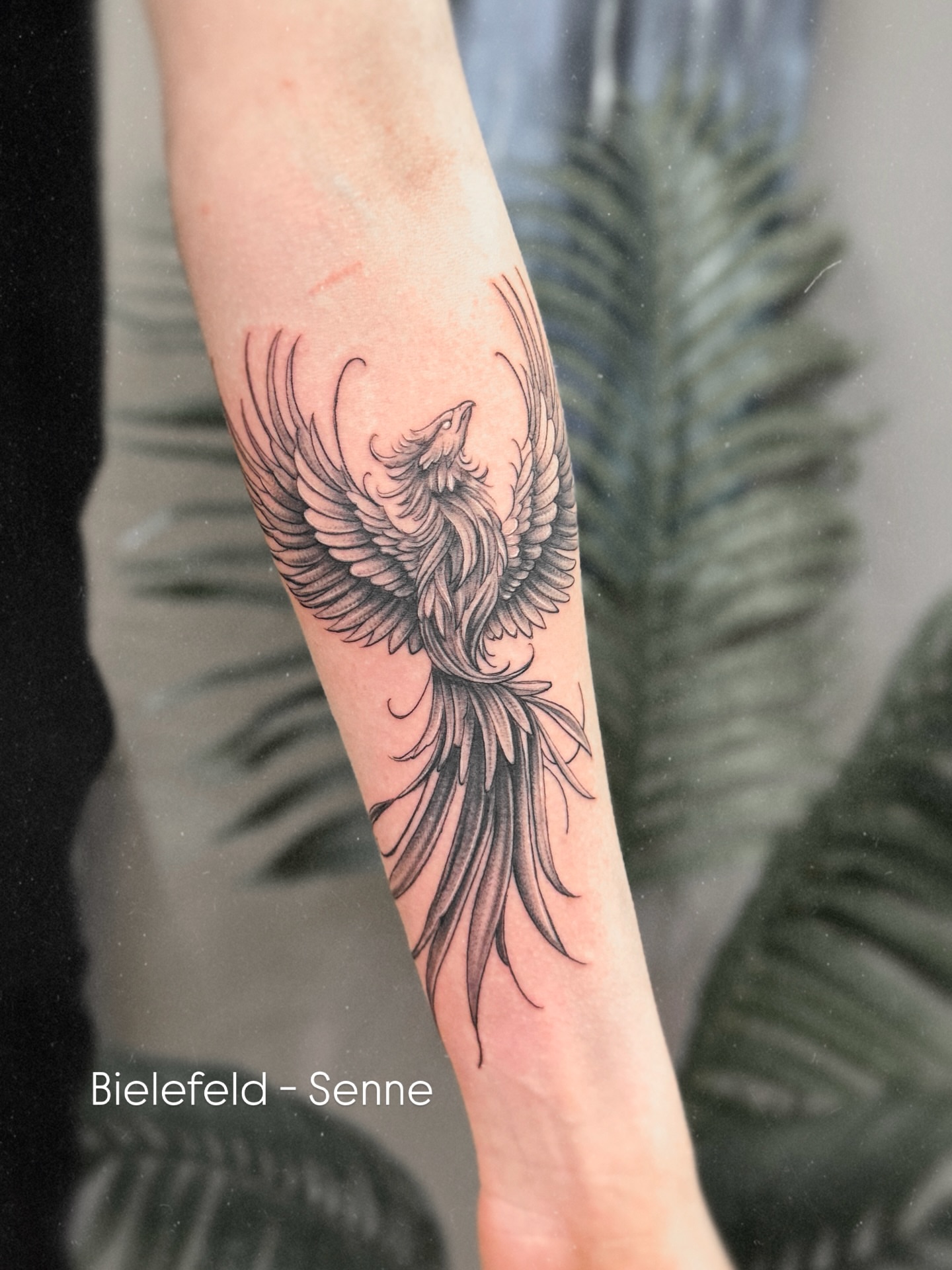 Phoenix black and grey tattoo on the forearm by Die Ivo, Bielefeld, Germany