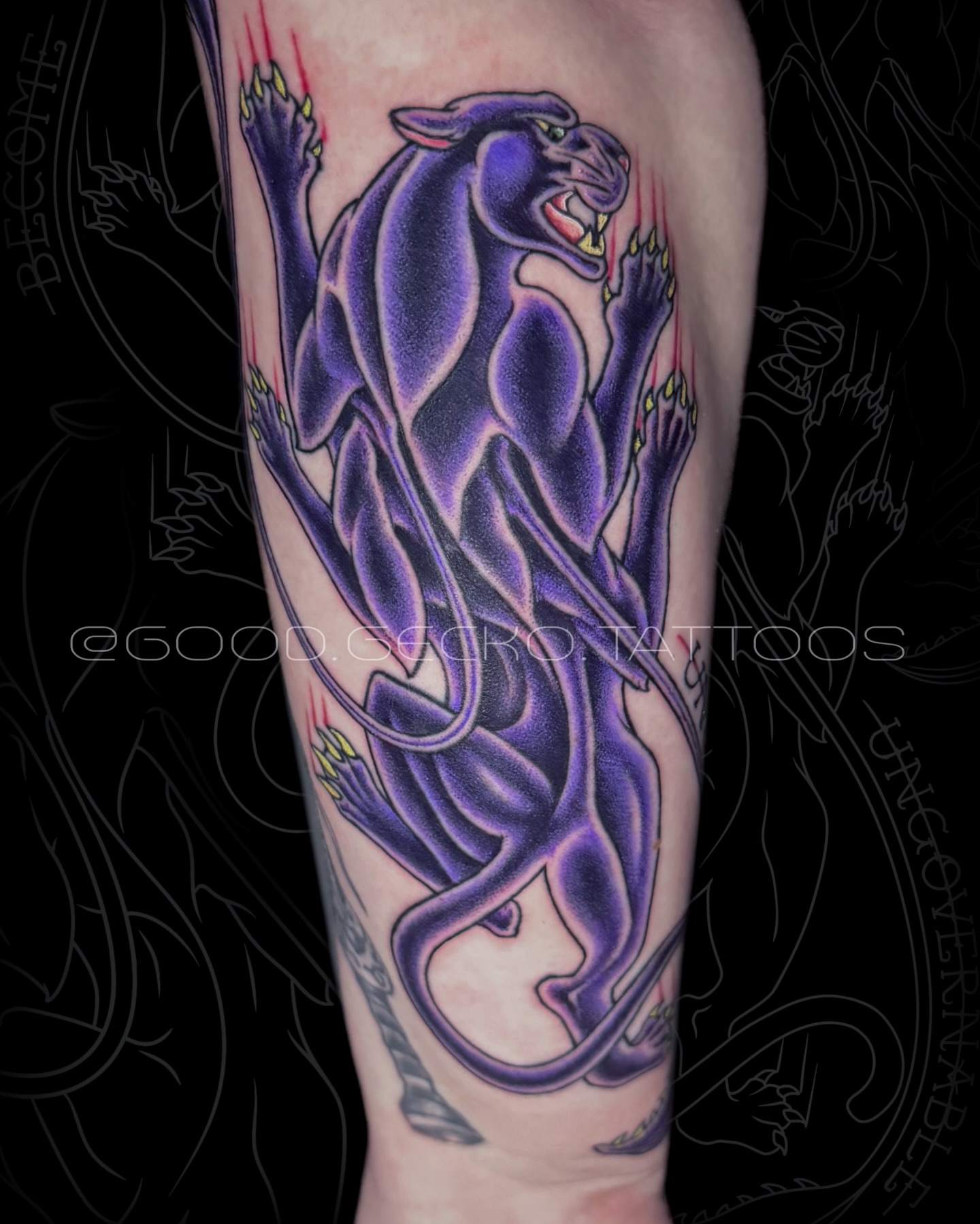 Tattoo by @good.gecko.tattoos — american_traditional