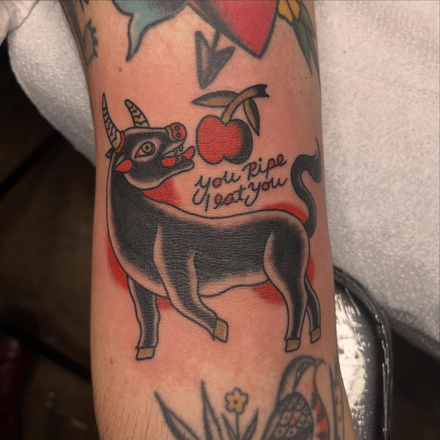Bull and apple American traditional tattoo on the forearm by Nicole💀, Salt Lake City, Utah