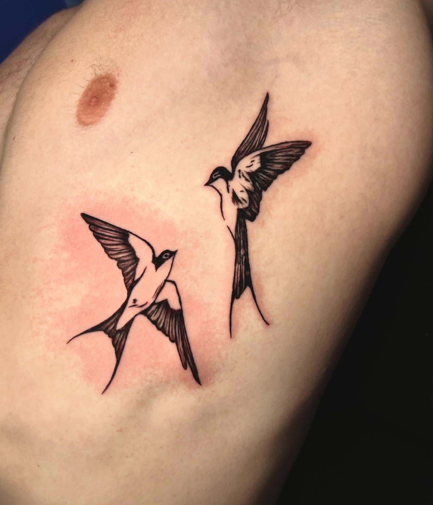 Swallows black and grey tattoo on the shoulder by Tess