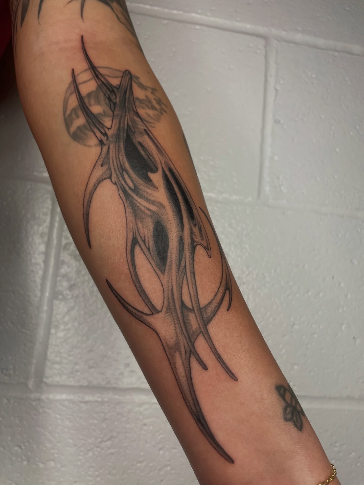 Antlers black and grey tattoo on the forearm by 𝕮𝖆𝖗𝖔𝖑𝖎𝖓𝖊 𝕽𝖆𝖊 𝕽𝖔𝖇𝖎𝖓𝖘𝖔𝖓, Los Angeles, California