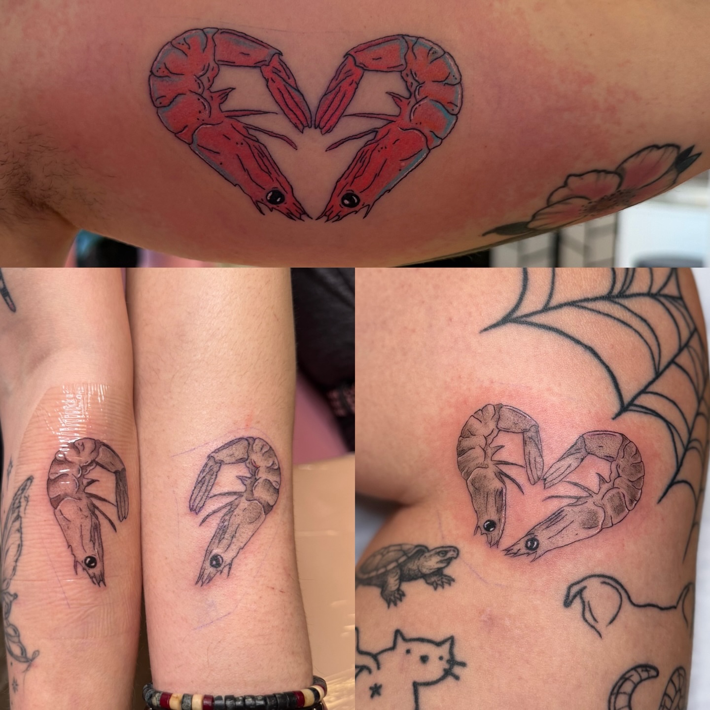 Shrimp American traditional tattoo on the upper arm by Kelsey Lynn▪️Raleigh Tattoo Artist