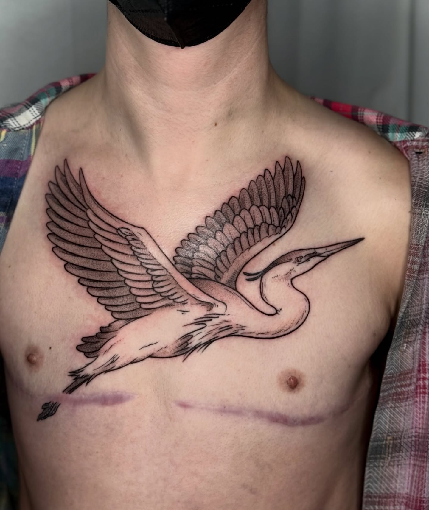 Heron black and grey tattoo on the chest by Cooper
