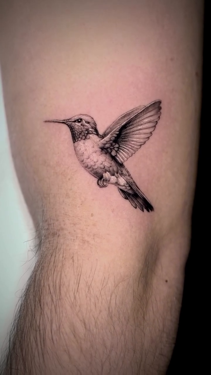Hummingbird fine line tattoo by Zonghuan Wu