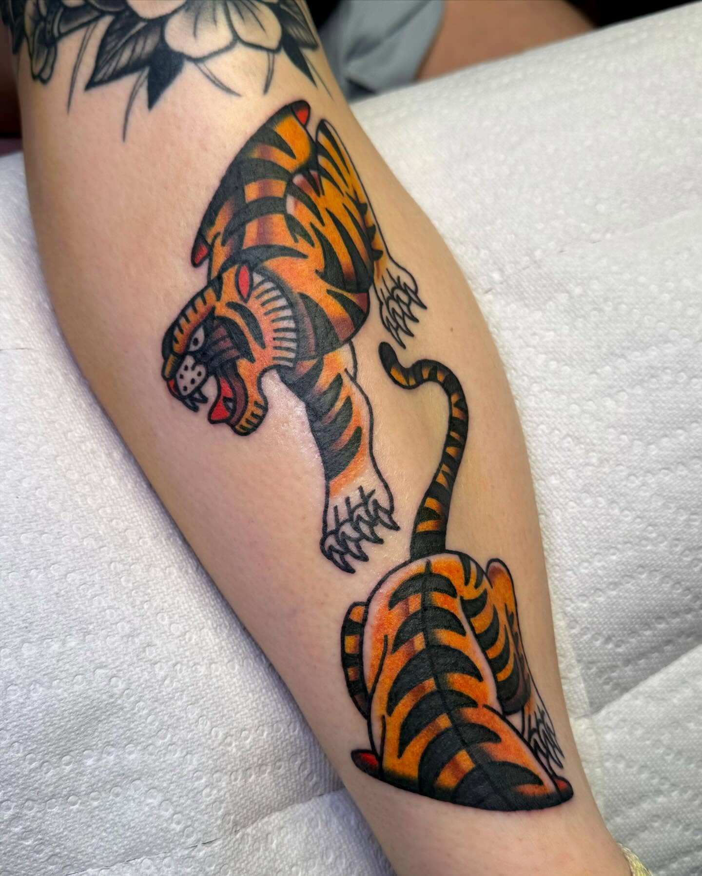 Tiger American traditional tattoo on the forearm by ＊ Carly James ＊