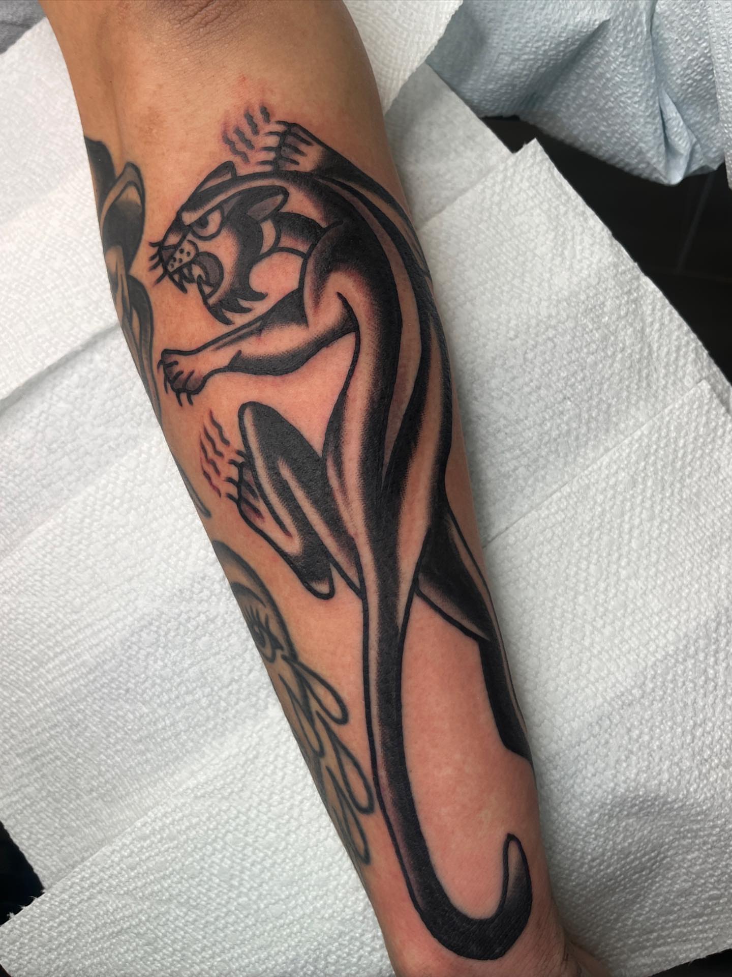 Panther black and grey tattoo on the forearm by Charlie Ostrom, Durham, North Carolina