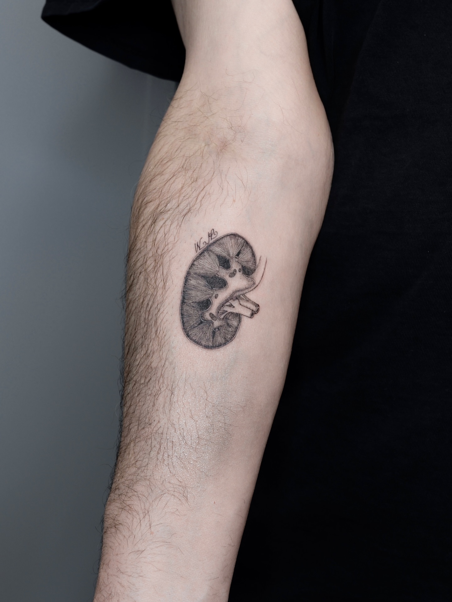 Kidney black and grey tattoo on the forearm by Alina 🌙 Tattoo in Calgary 🇨🇦