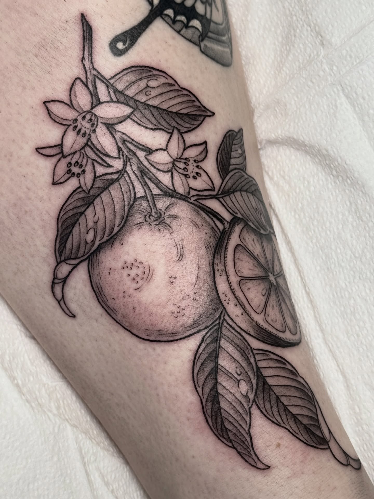 Orange and leaves dotwork tattoo on the forearm by Hannah May, La Mesa, California
