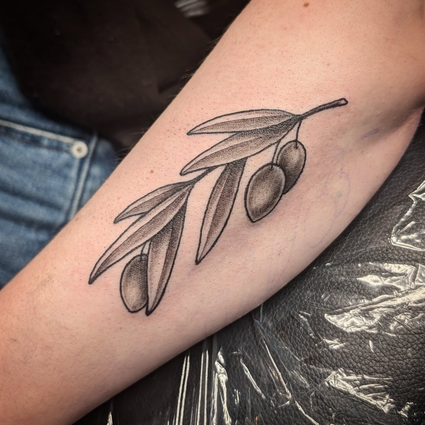 Olive branch black and grey tattoo on the forearm by Michaela May