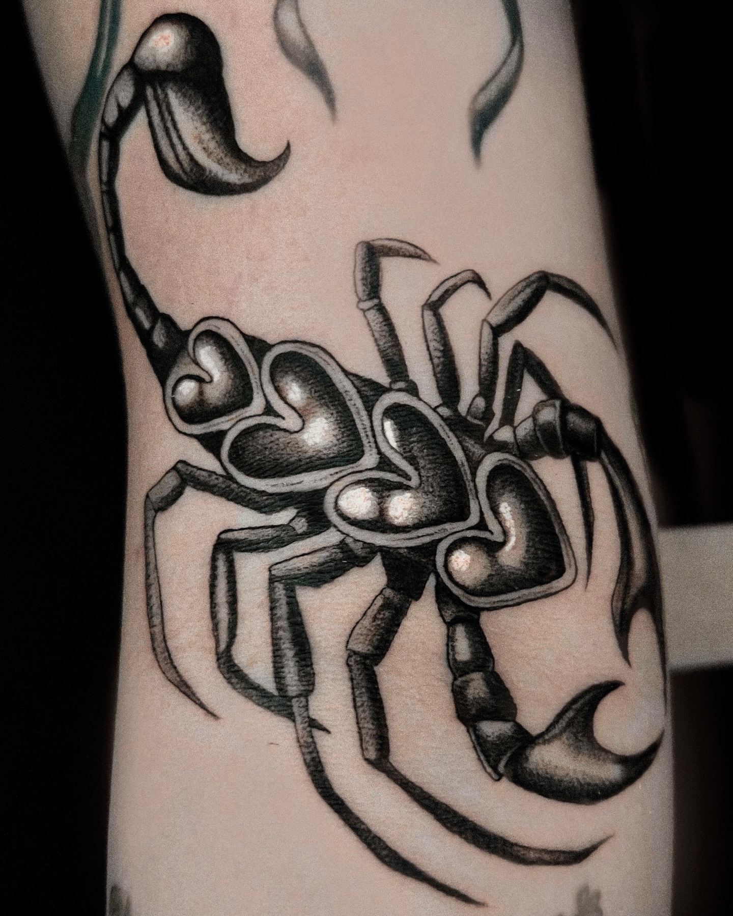 Scorpion black and grey tattoo on the forearm by 🤎Dannon 🕸
