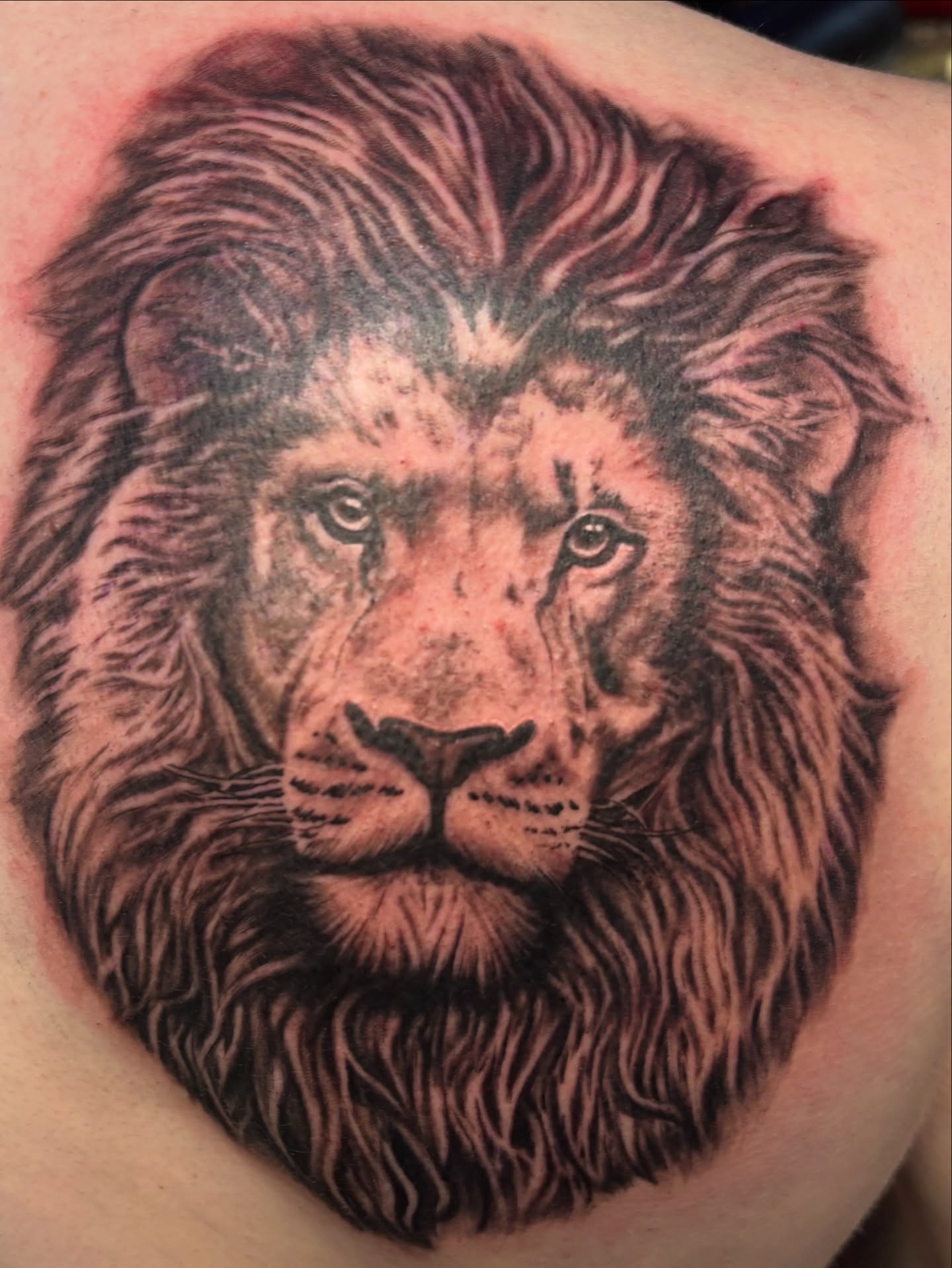 Tattoo by @trktattoos — realism