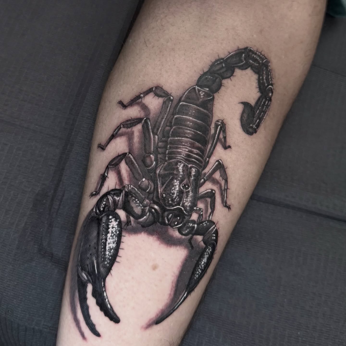 Scorpion realism tattoo on the forearm by Gilberto Flores Nava