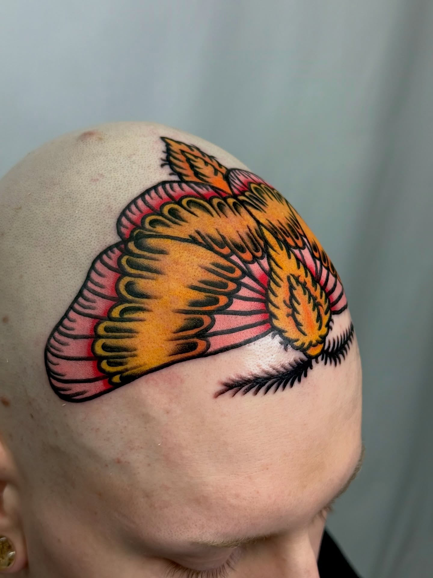 Bird American traditional tattoo on the head by Tattooer Sancho 🇰🇷🇨🇦